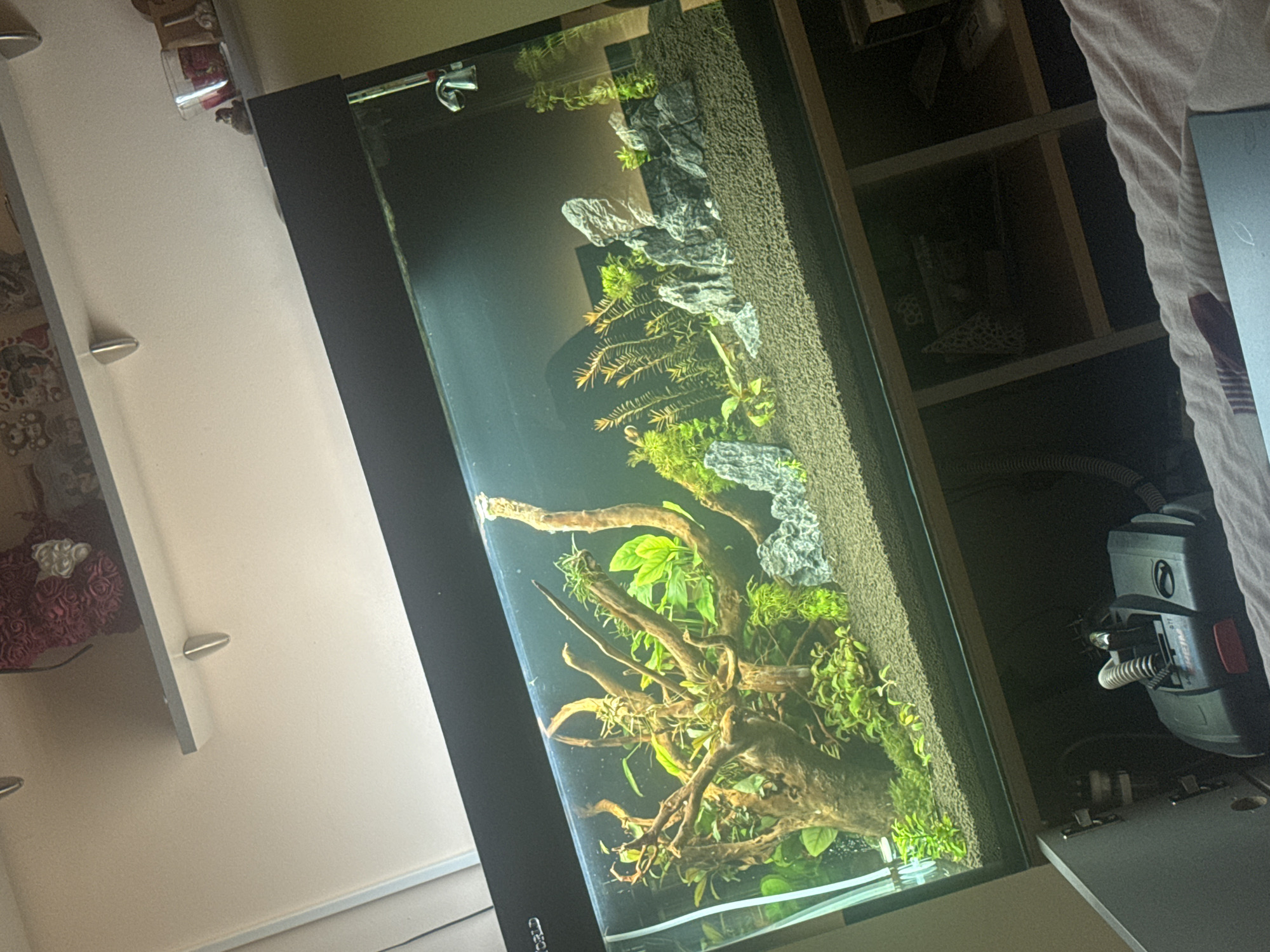 Indoor aquarium maintenance session documented over 37-minute period
