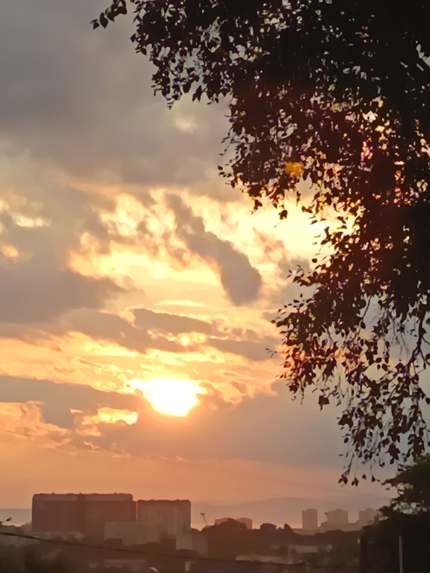 Skies, a resting cat, and city and neighborhood scenes