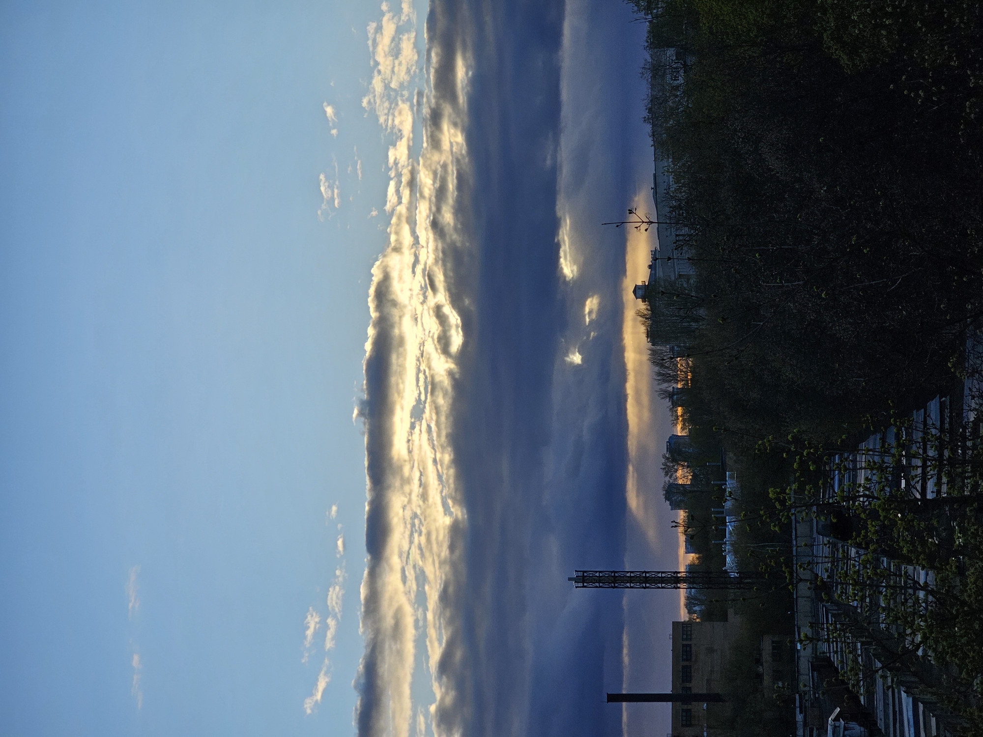 Sunset and cat captured in Khimki during evening hours