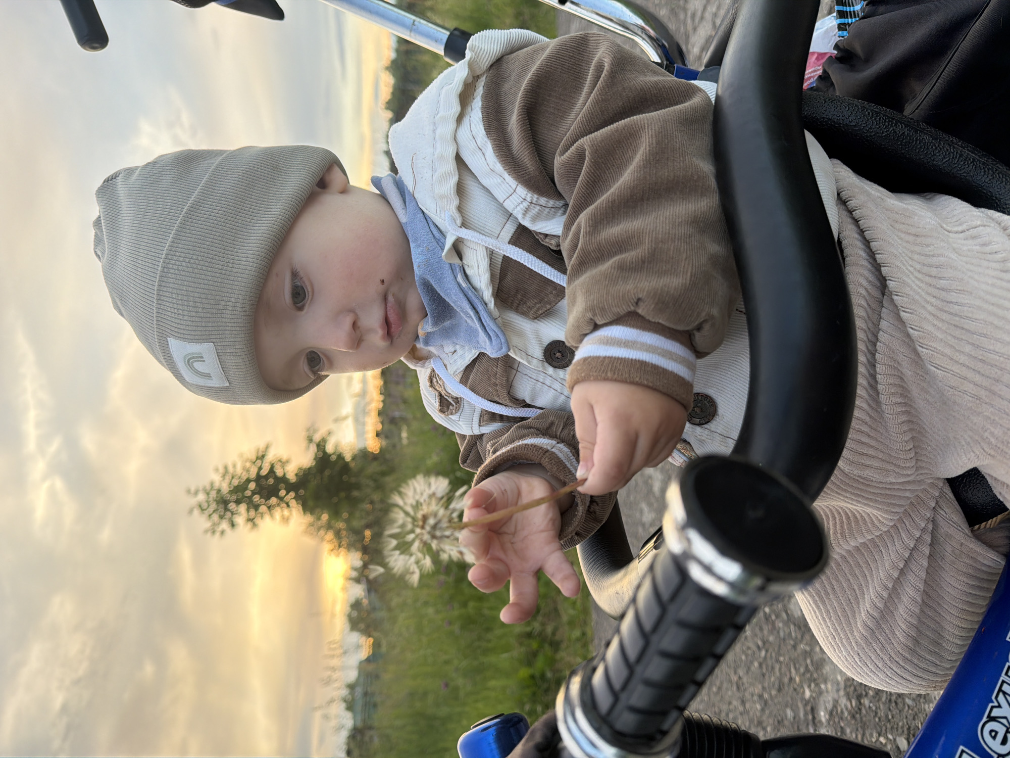 Stroller stop in Красный Маяк, dandelion in hand