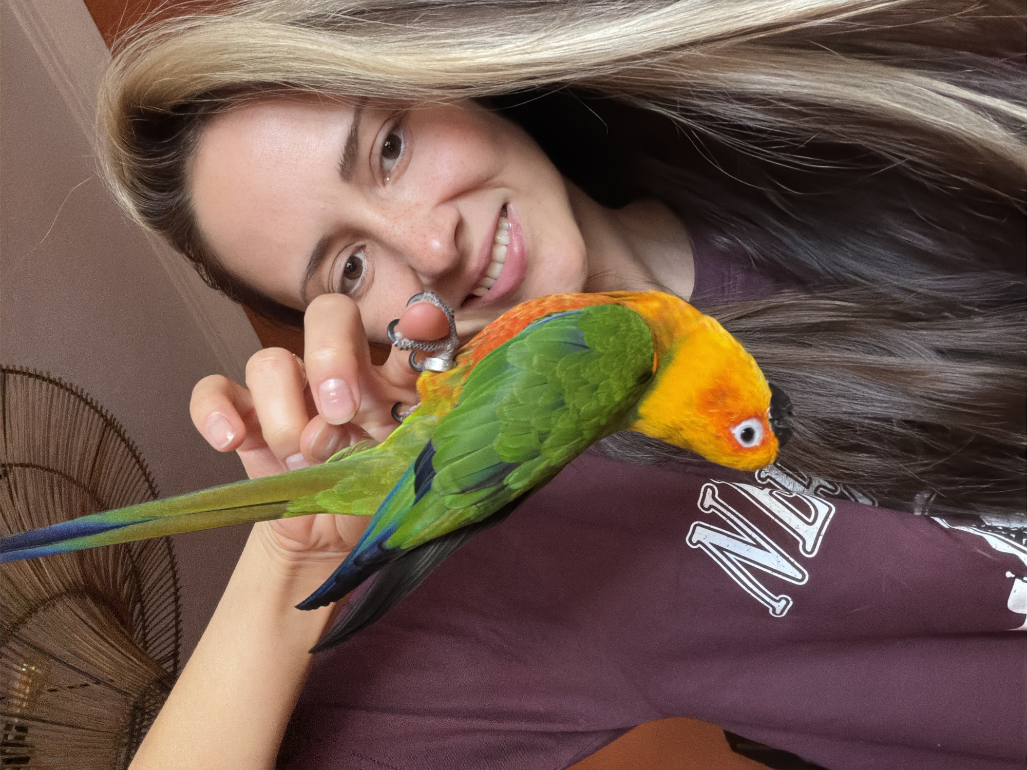 Domestic moments with pet parrot captured in Khimki