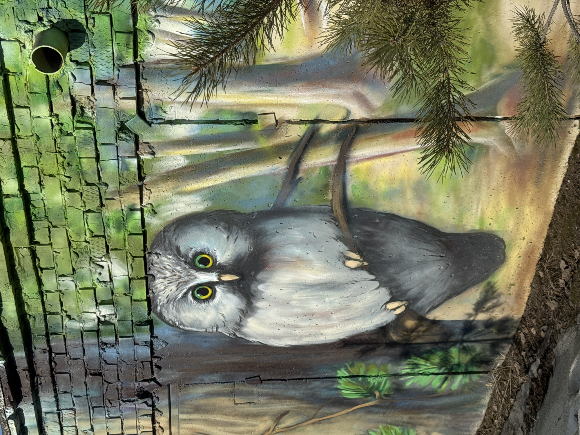 Wildlife murals spotted on concrete infrastructure in Chaikovsky