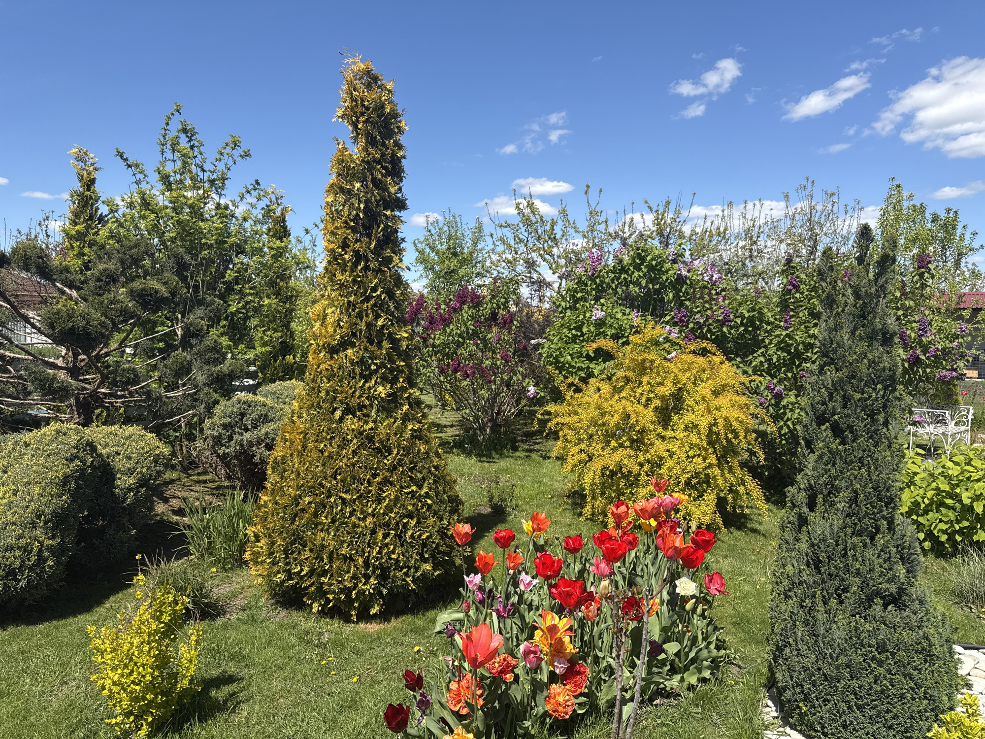 Spring garden scenes documented in Pervorechenskoye, Russia