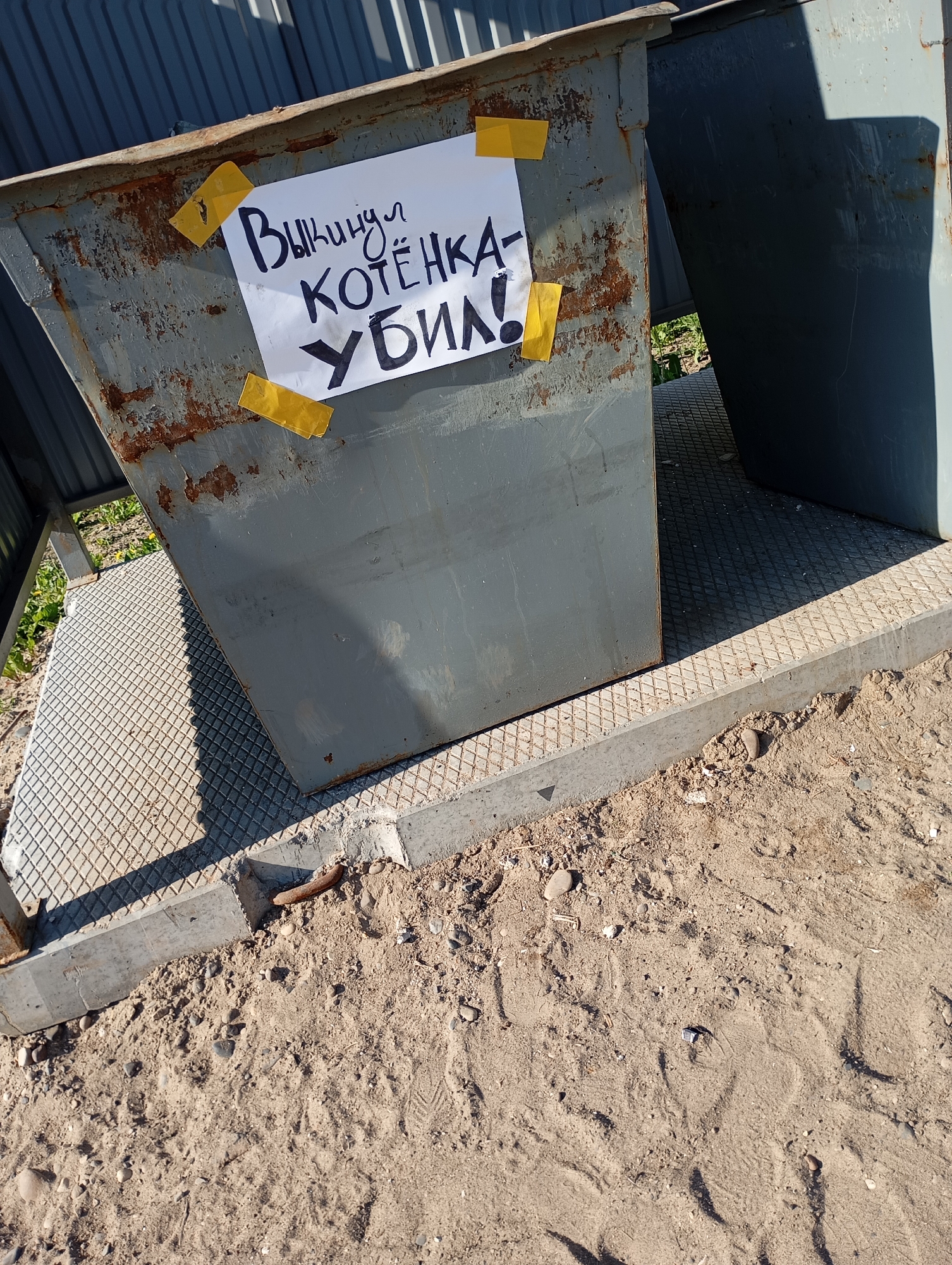Dumpster warning sign and decorative window display captured simultaneously