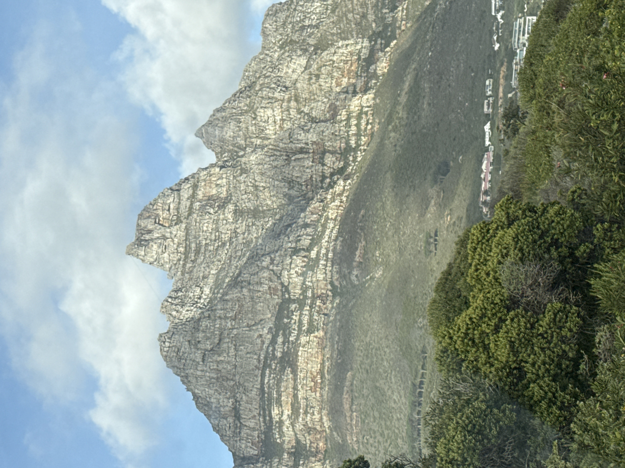 Table Mountain's sandstone layers photographed in Cape Town