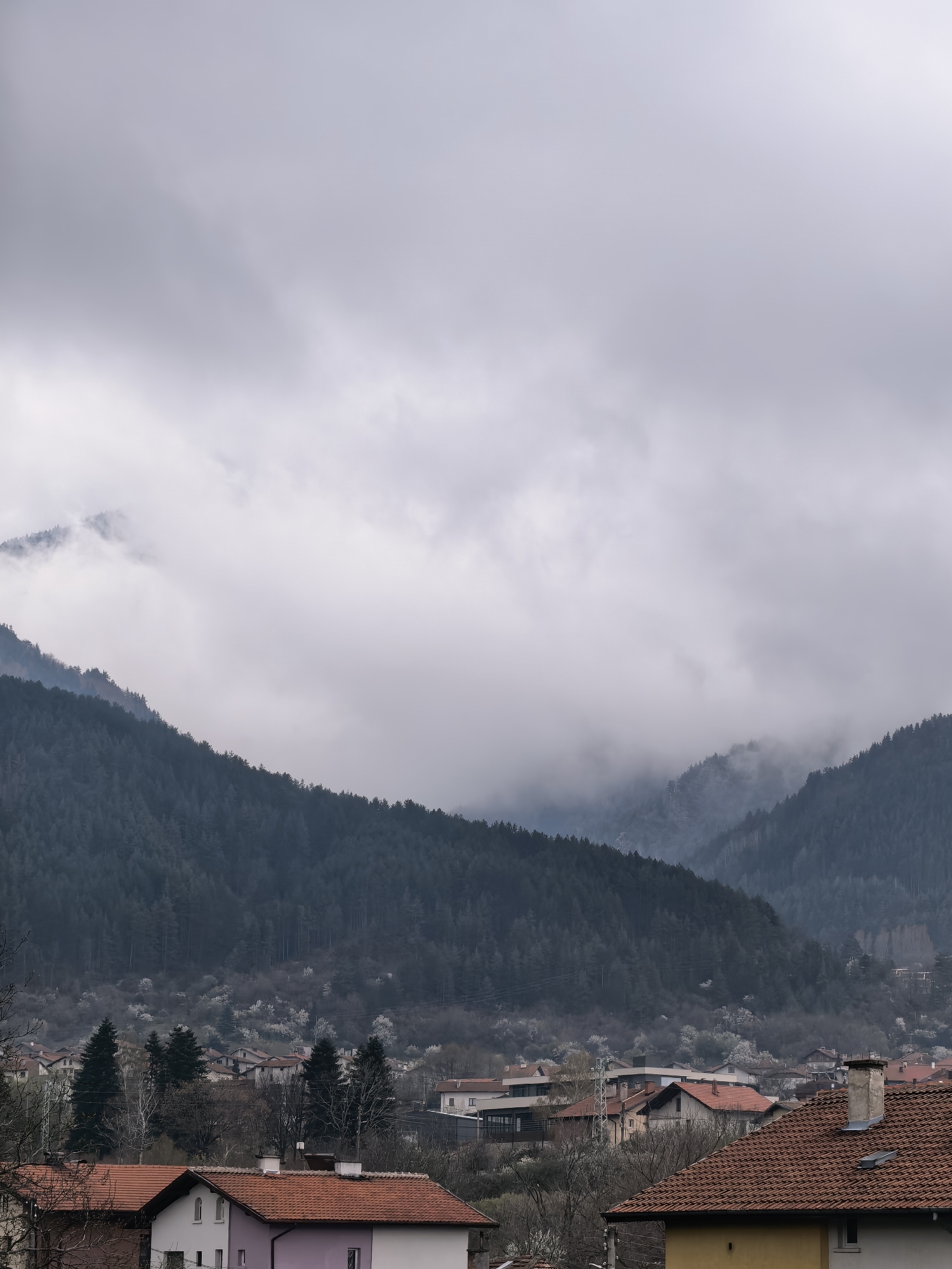 Everyday moments captured during overcast morning in urban area