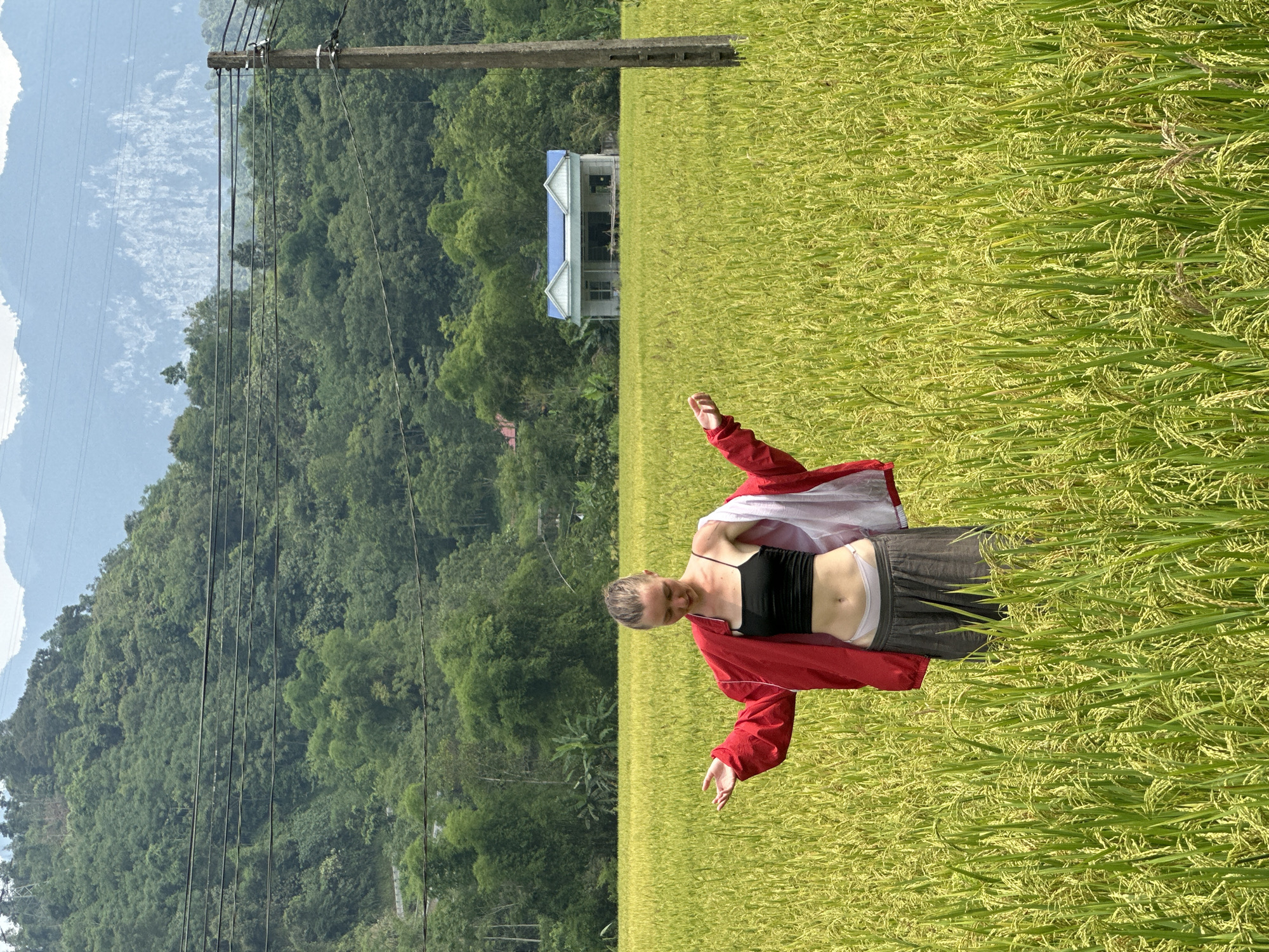 Woman photographed in Vietnamese rice fields during morning visit
