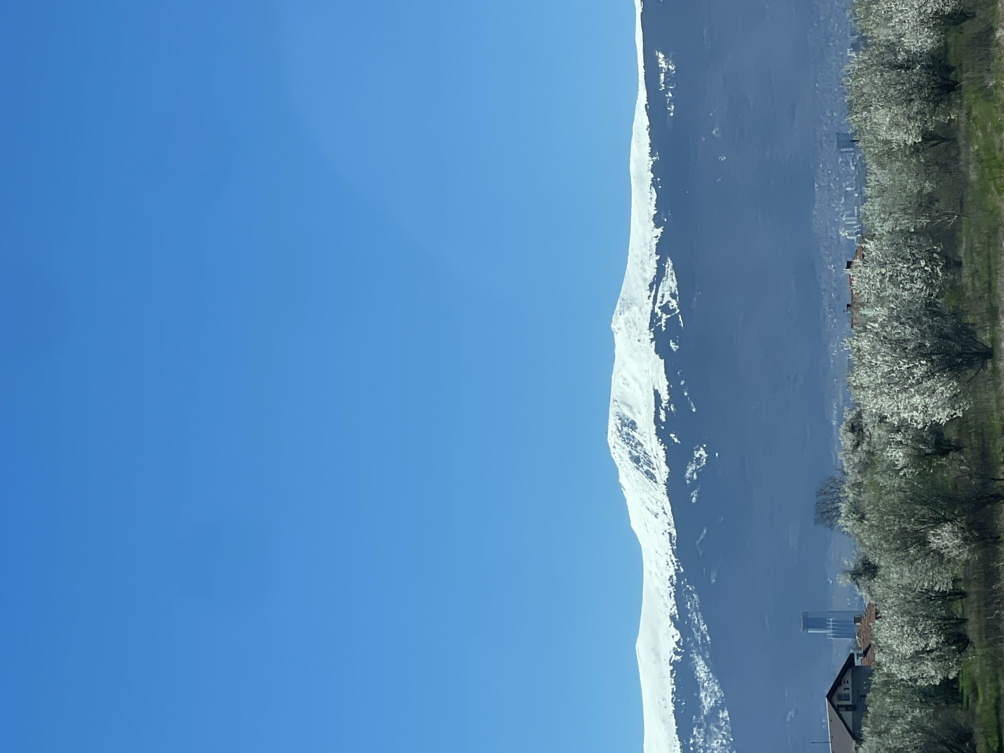 Spring blooms meet snow-capped peaks in Bulgarian mountain vista