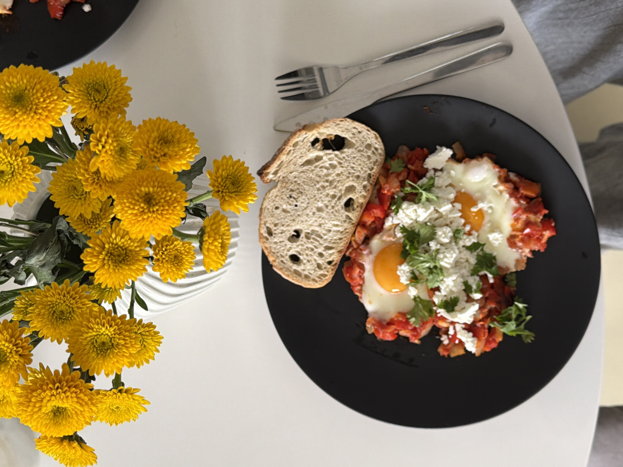 Morning domestic moments: shakshuka breakfast and baby with dog