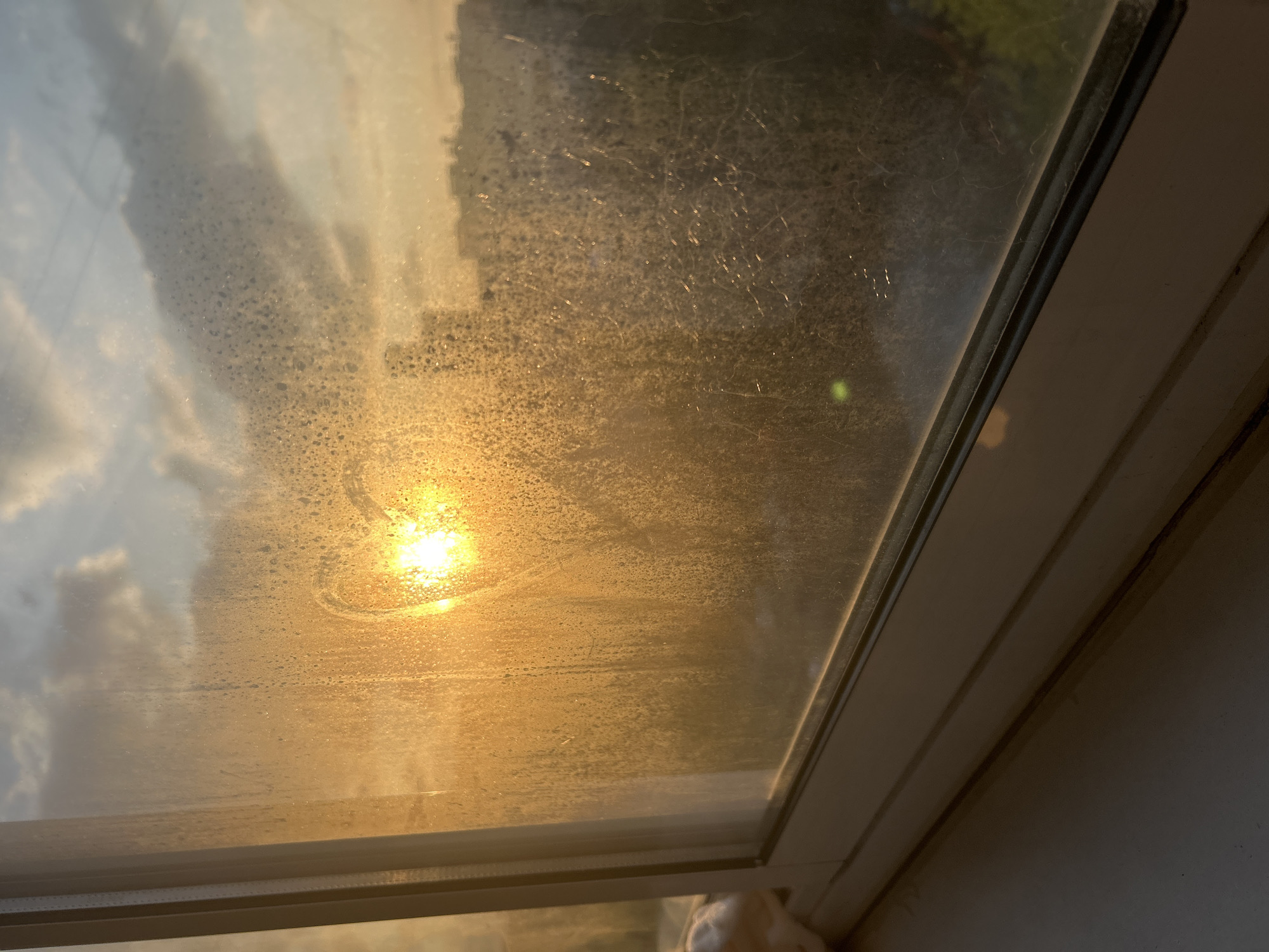 Domestic moments captured during afternoon hours in Khimki, Russia