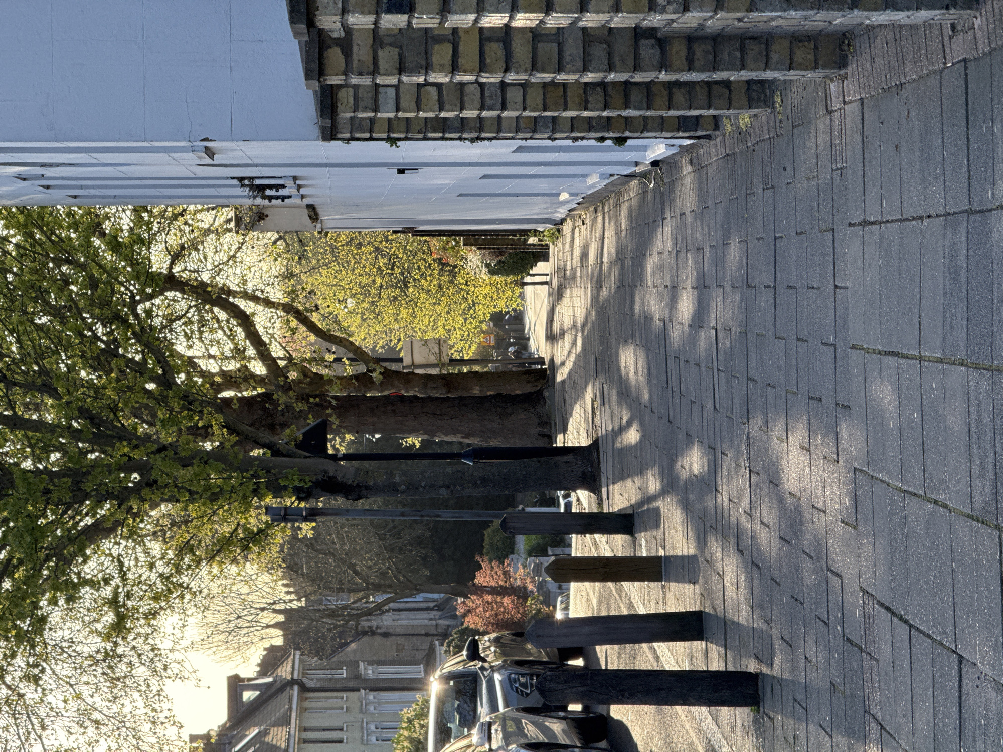 London residential area documented during spring bloom season