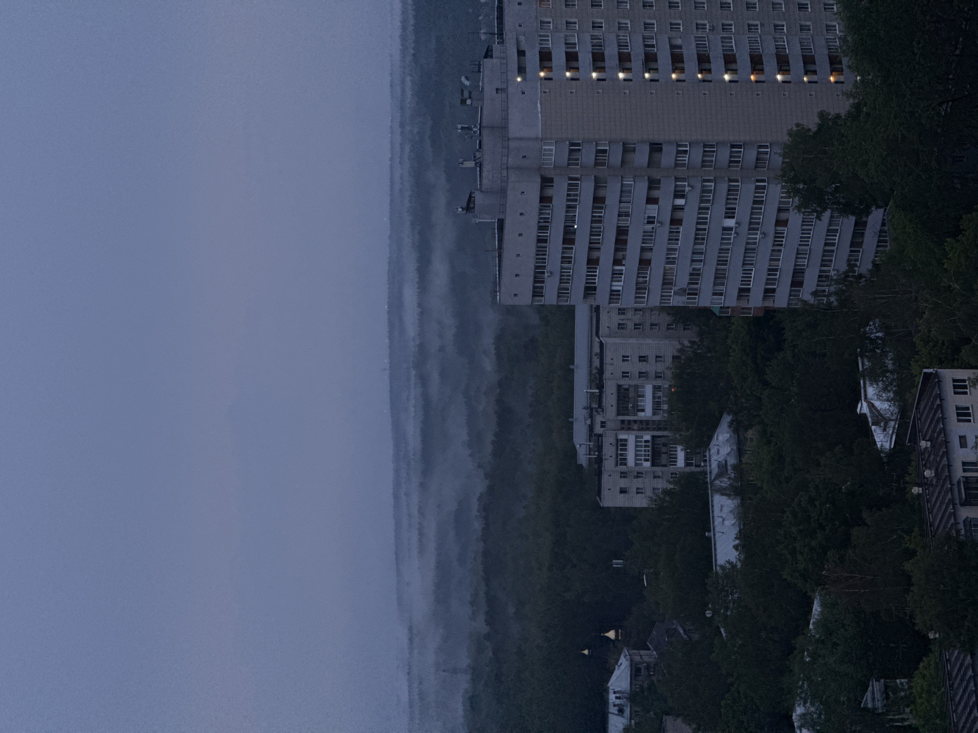 Novosibirsk skyline at twilight, green canopy meets residential blocks
