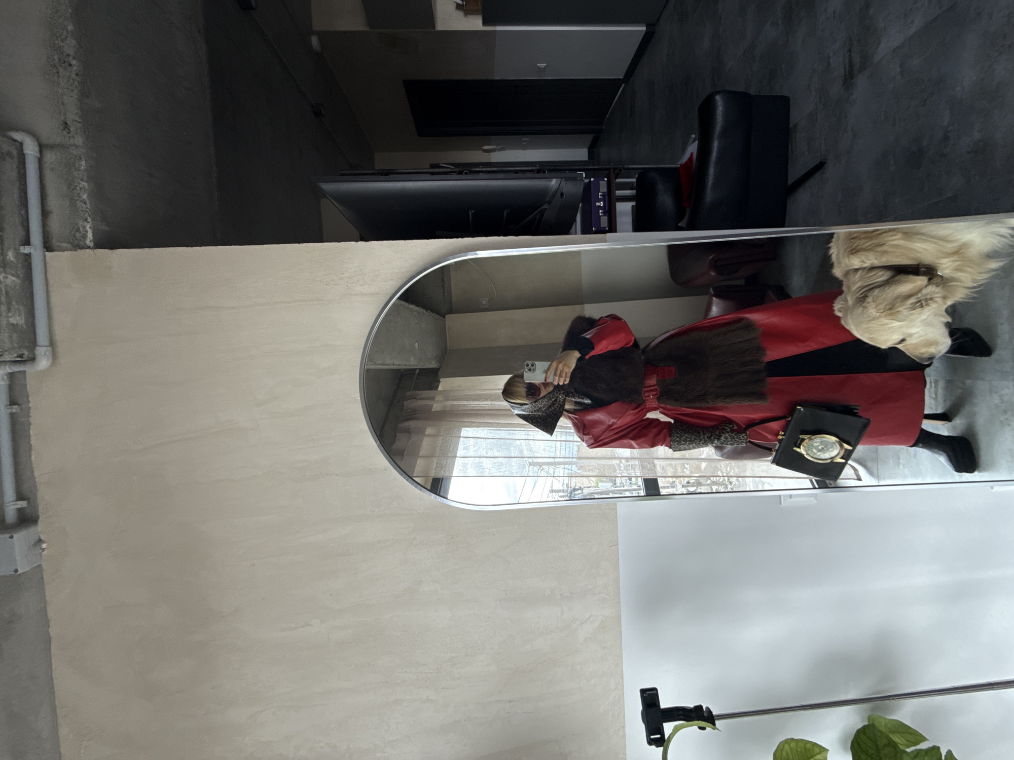 Person and dog captured in mirror reflection in Yerevan