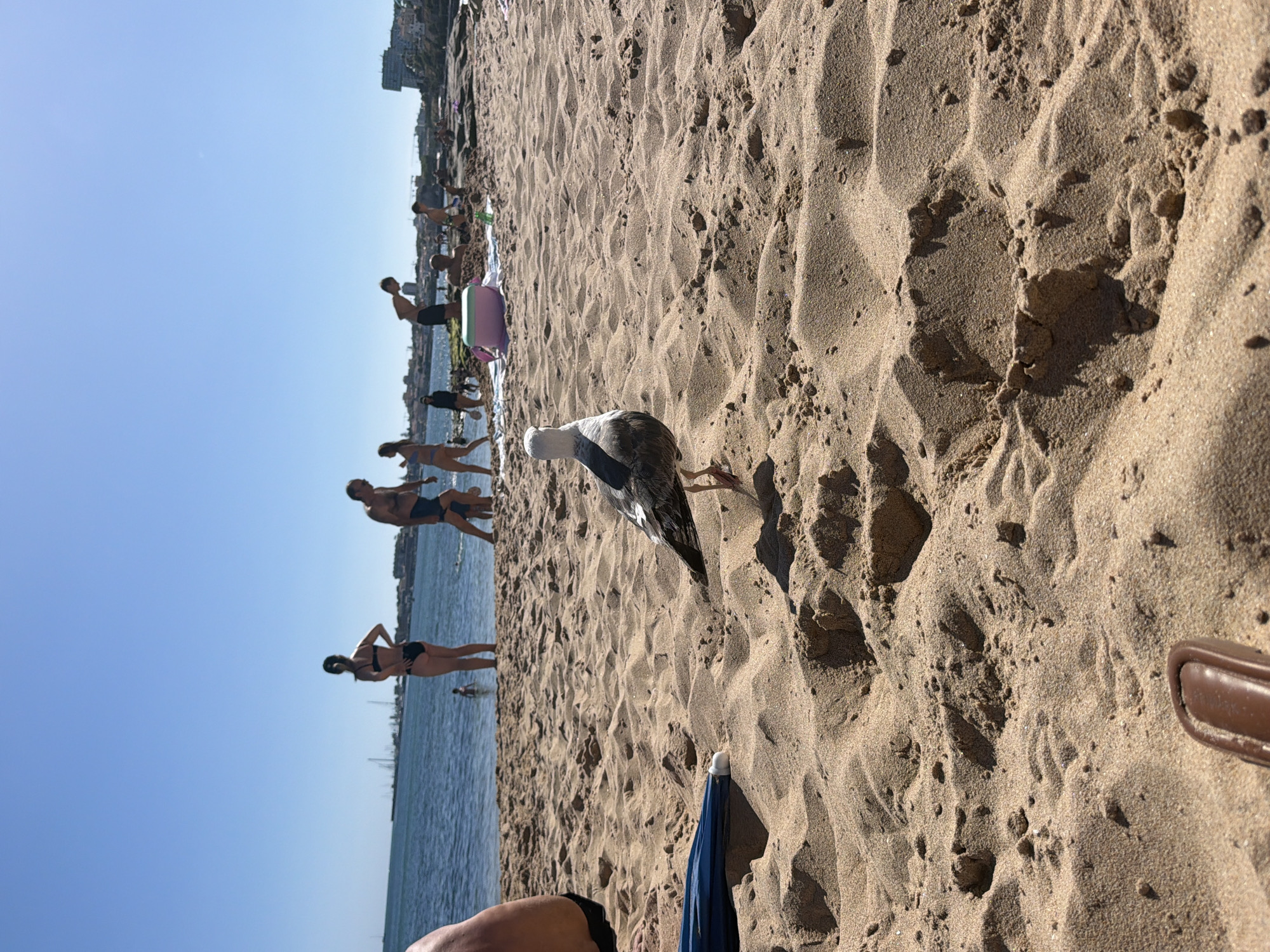Packed summer afternoon on the beaches of Cascais, Portugal
