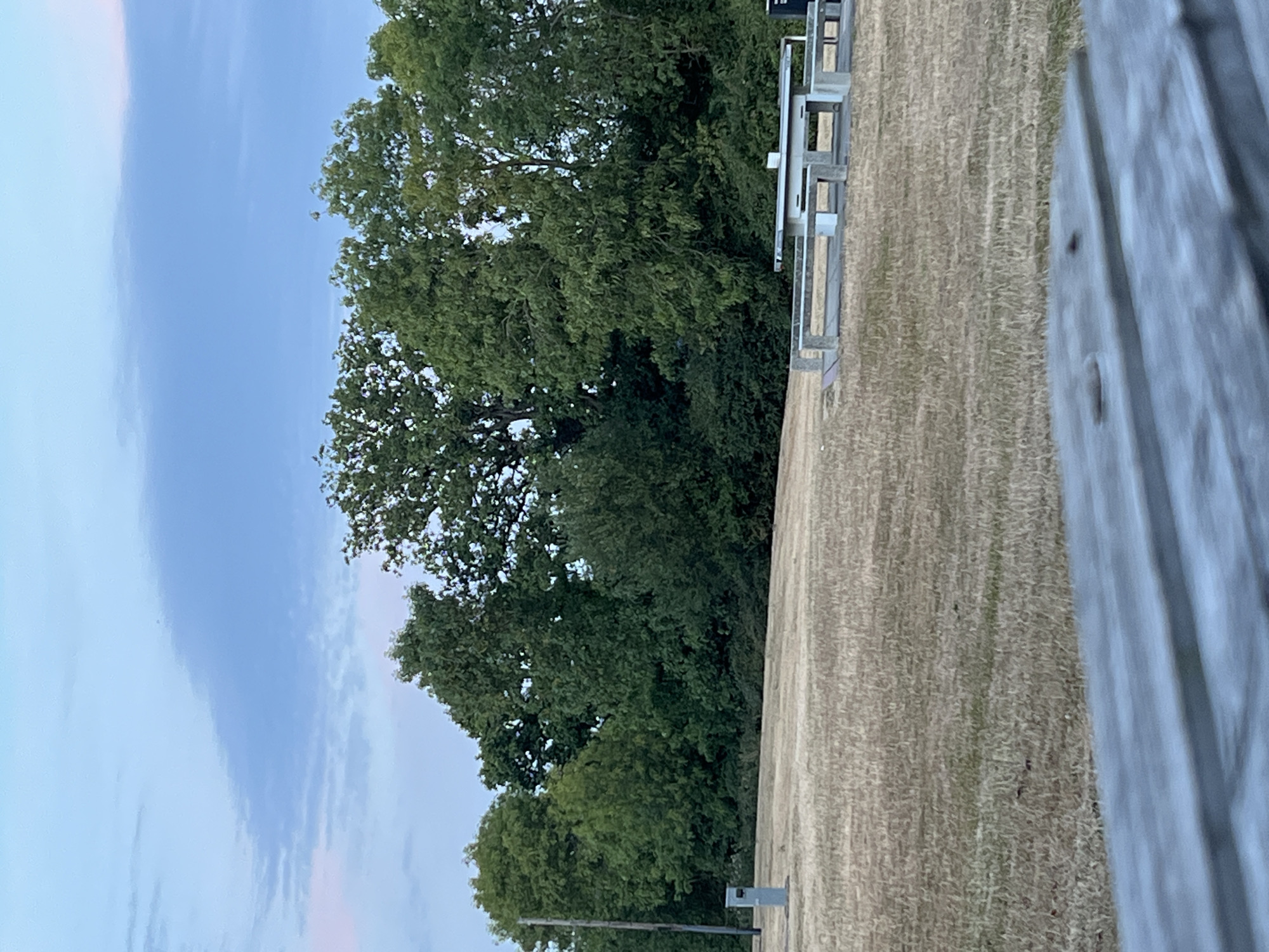 Evening pit stop at a Guildford picnic table with an e-bike