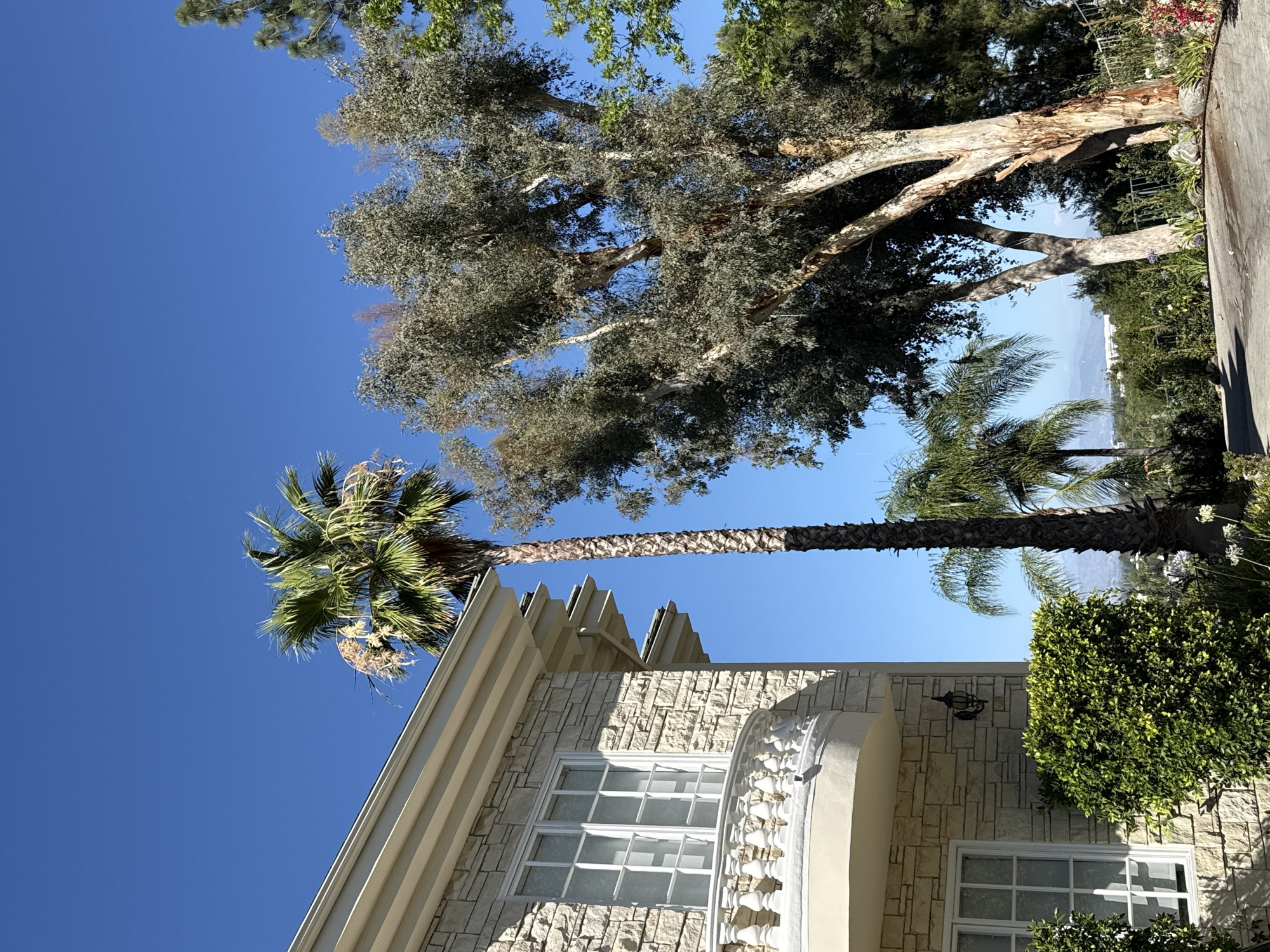 Hollywood Hills stone house with palm trees and city views