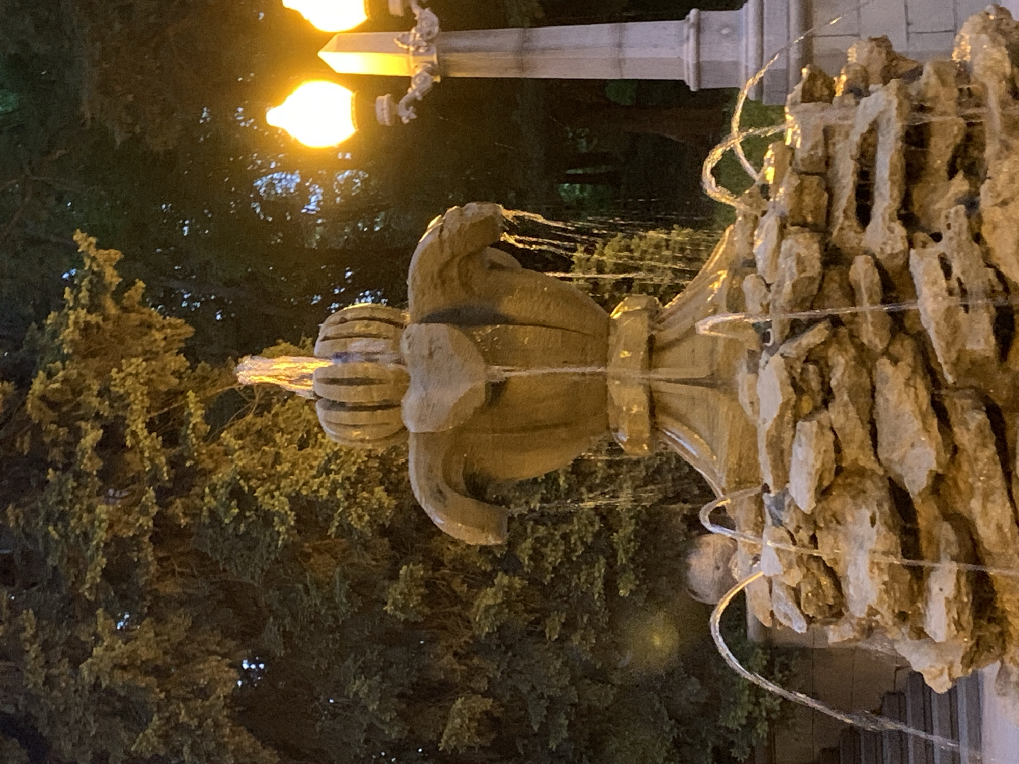 Evening twilight scenes documented across Stavropol park areas