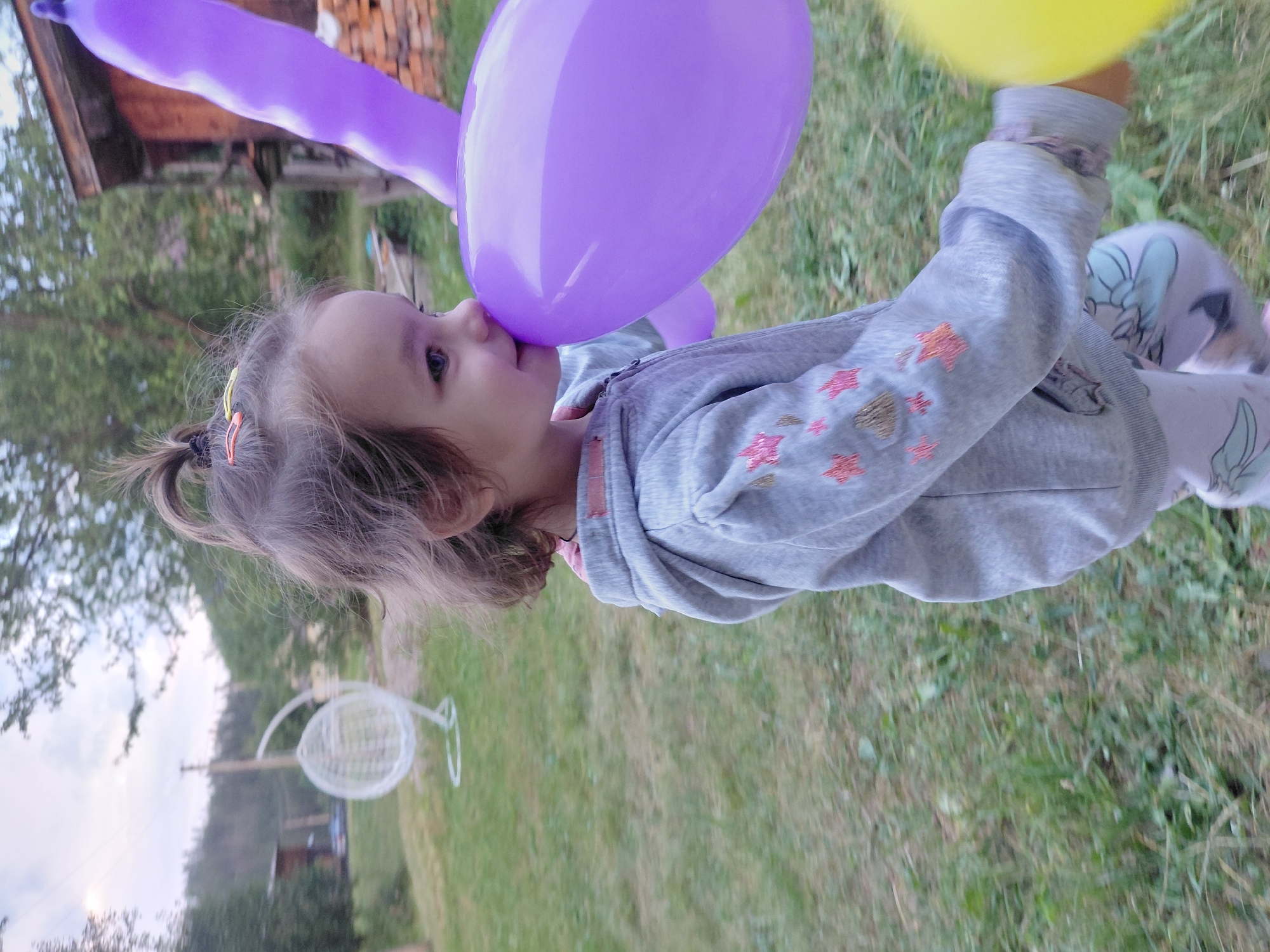 Afternoon in rural Chernyk: balloons, grass, and overcast skies