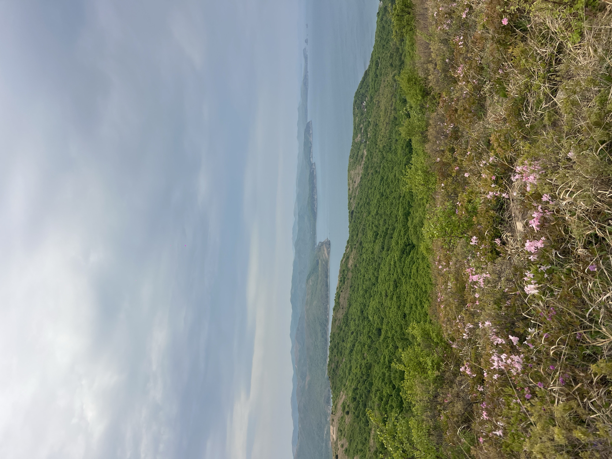 SUV stops at scenic Russian overlook amid spring blooms