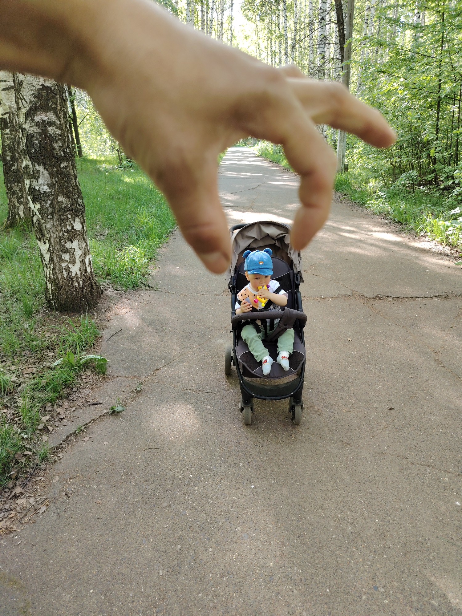 Family enjoys afternoon stroll in Chaikovsky park birch forest