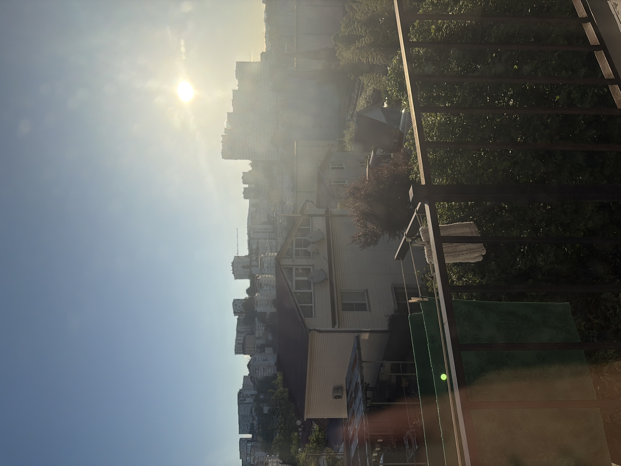 Early morning domestic life documented in Sochi apartment