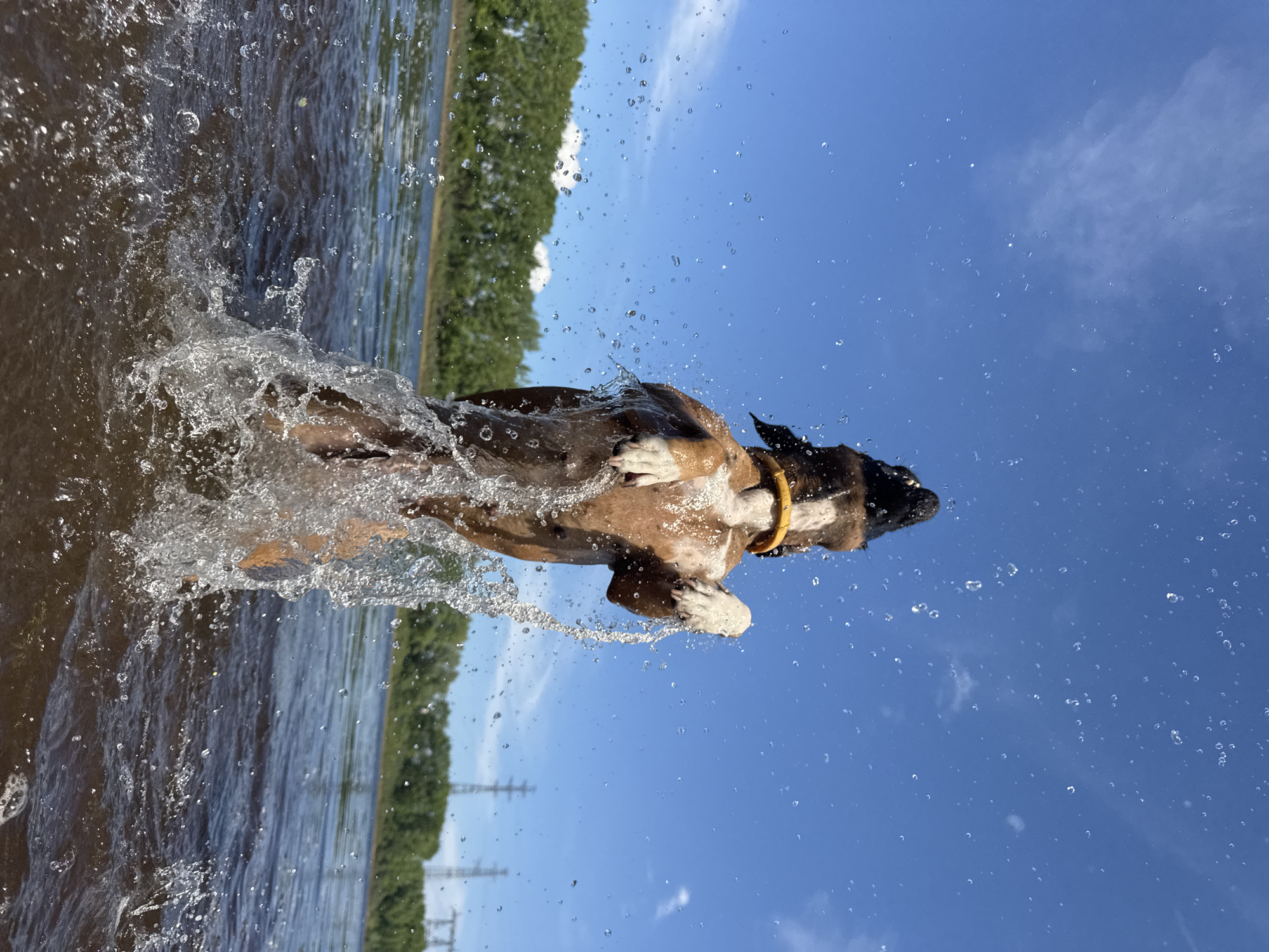 Family fishing trip with dog captured in Chaikovsky Russia
