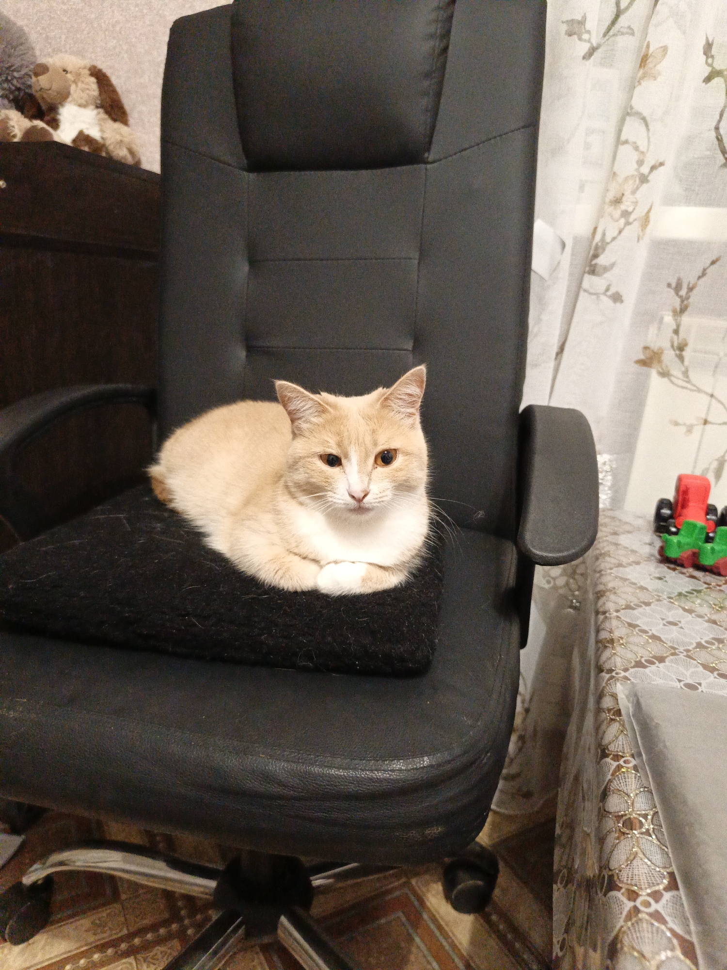 Event