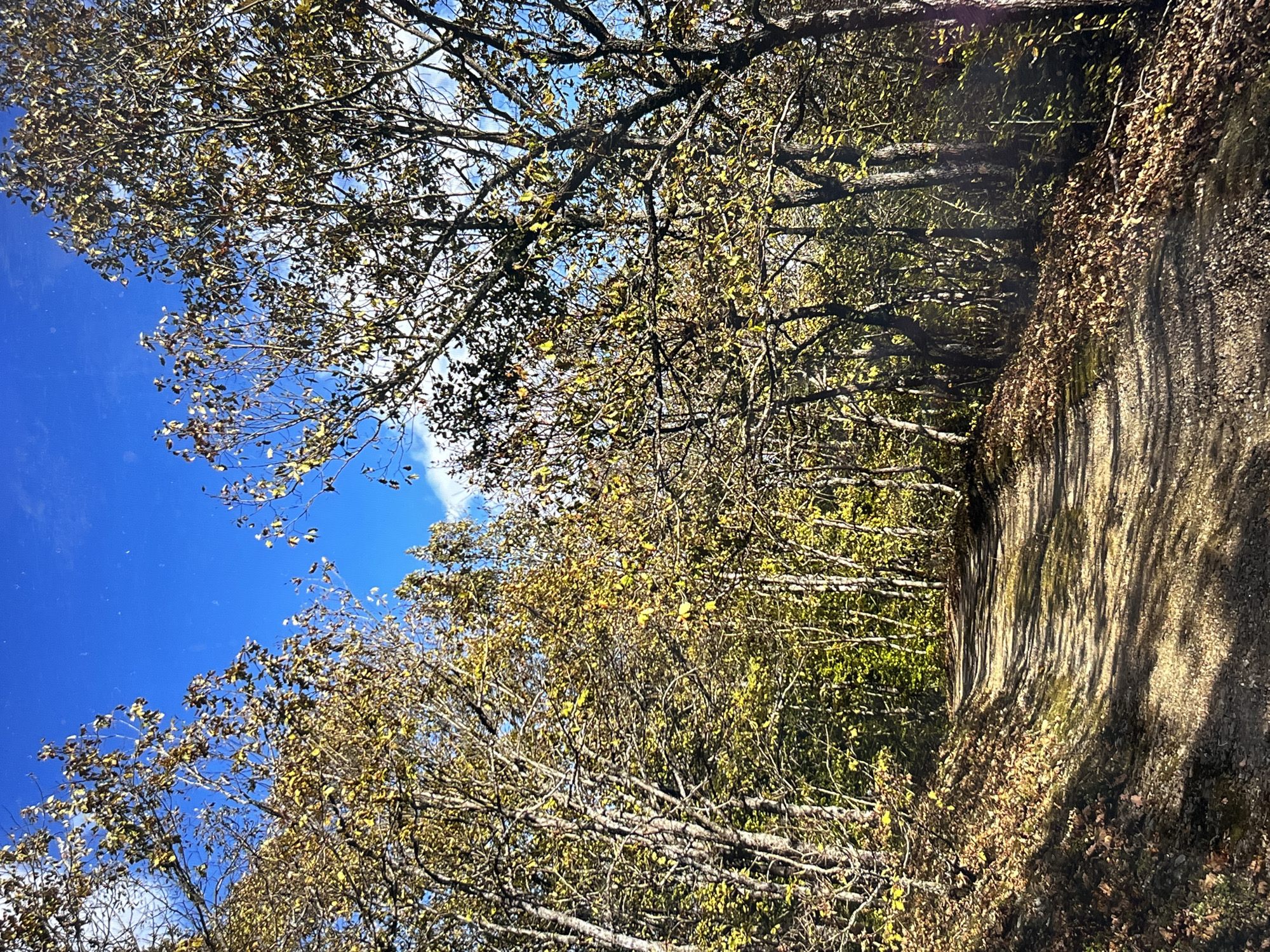 Witness captures diverse outdoor scenes across multiple locations