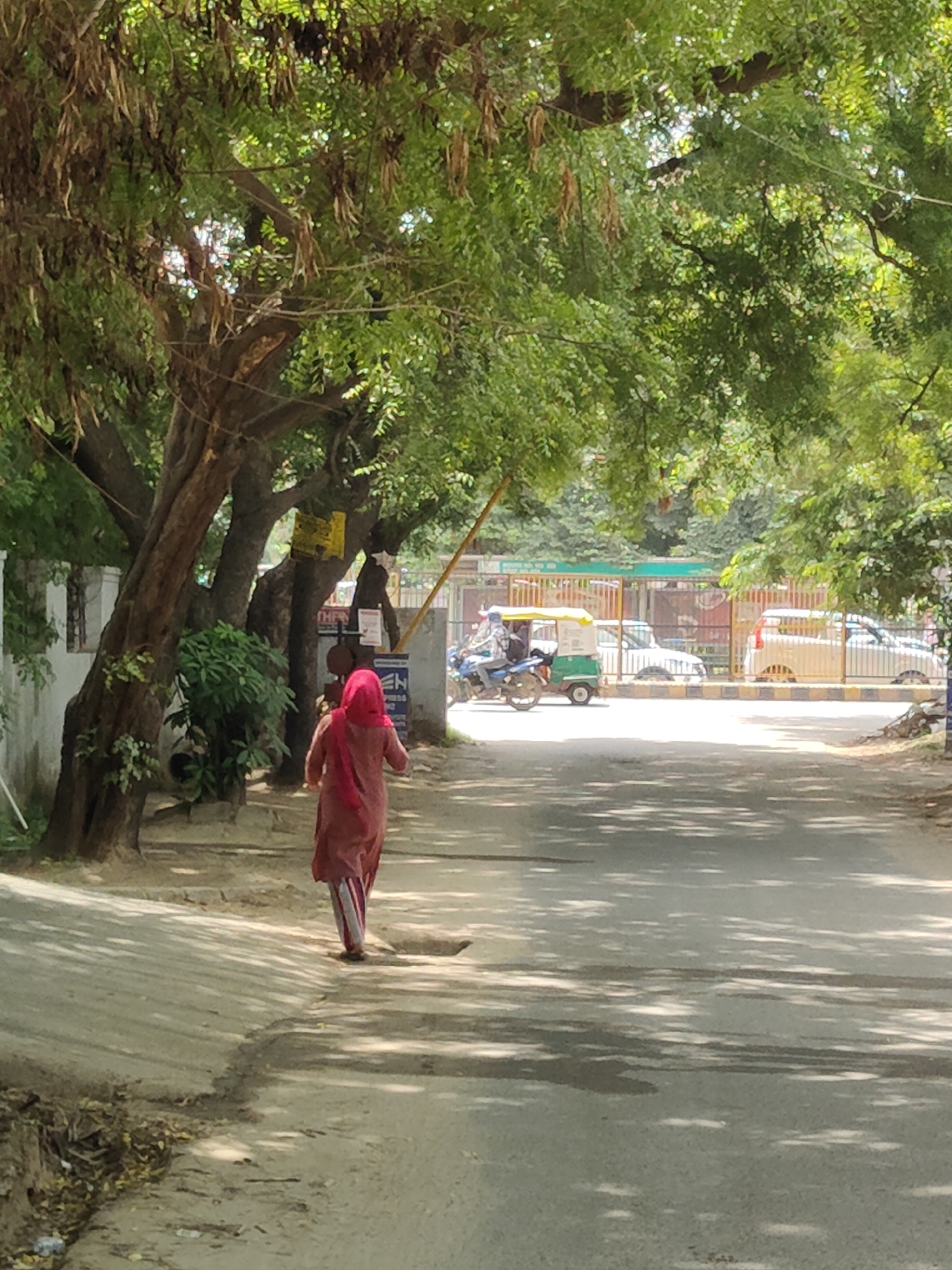 Quiet morning street life in a leafy Gurgaon neighborhood