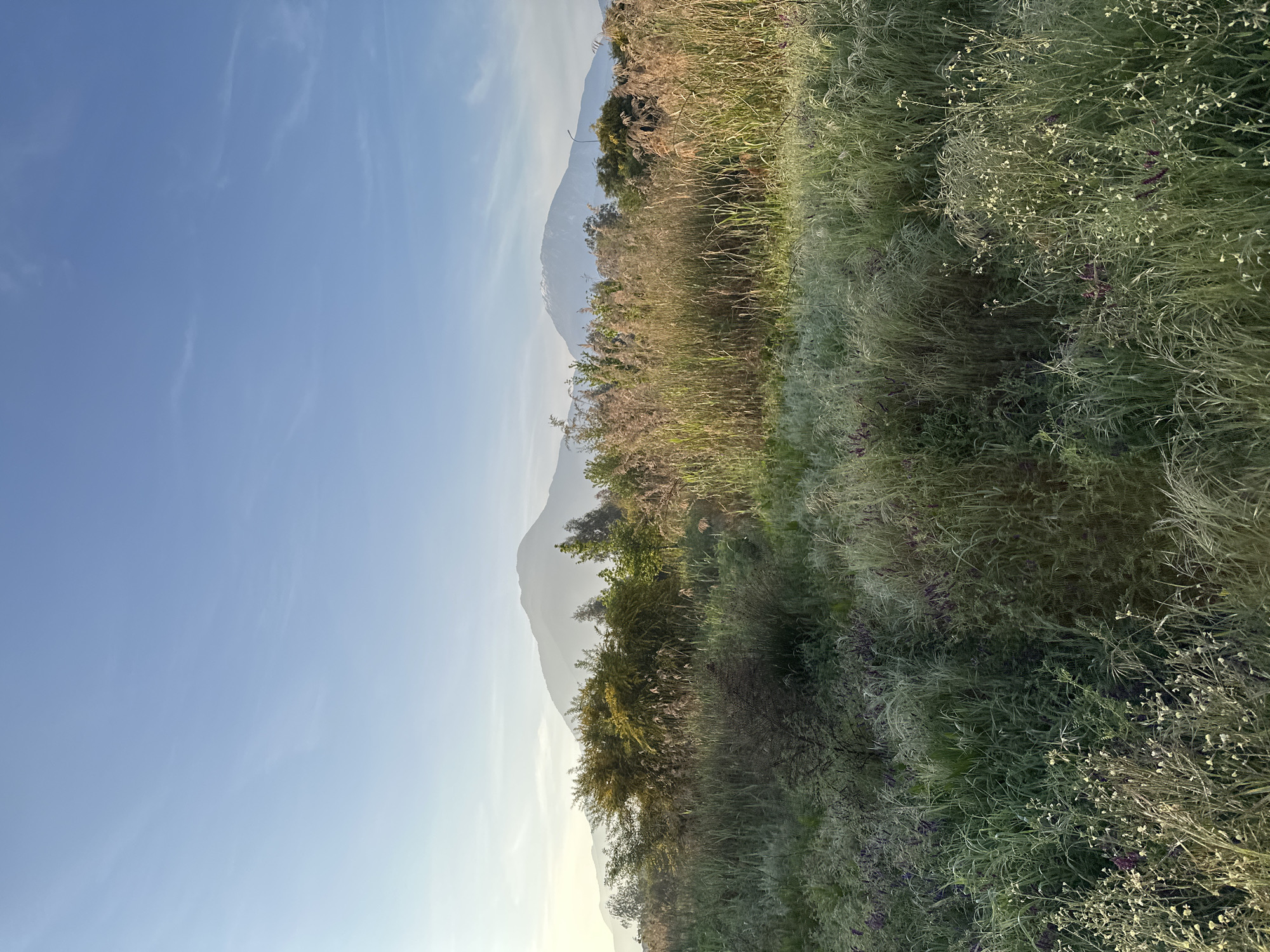 Morning coastal scenes and tourist moments captured in Fethiye