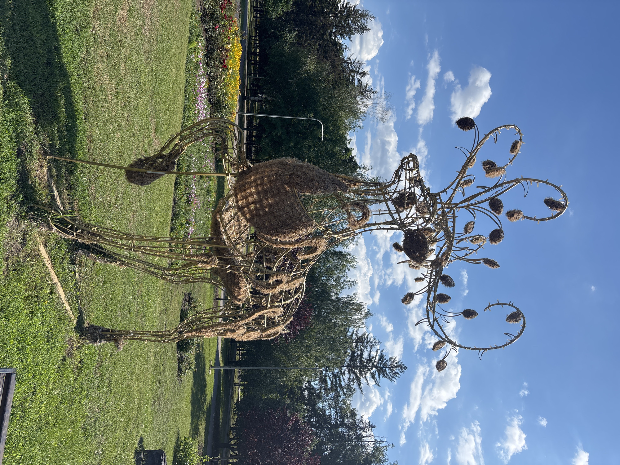 Park sculptures and city scenes from afternoon exploration