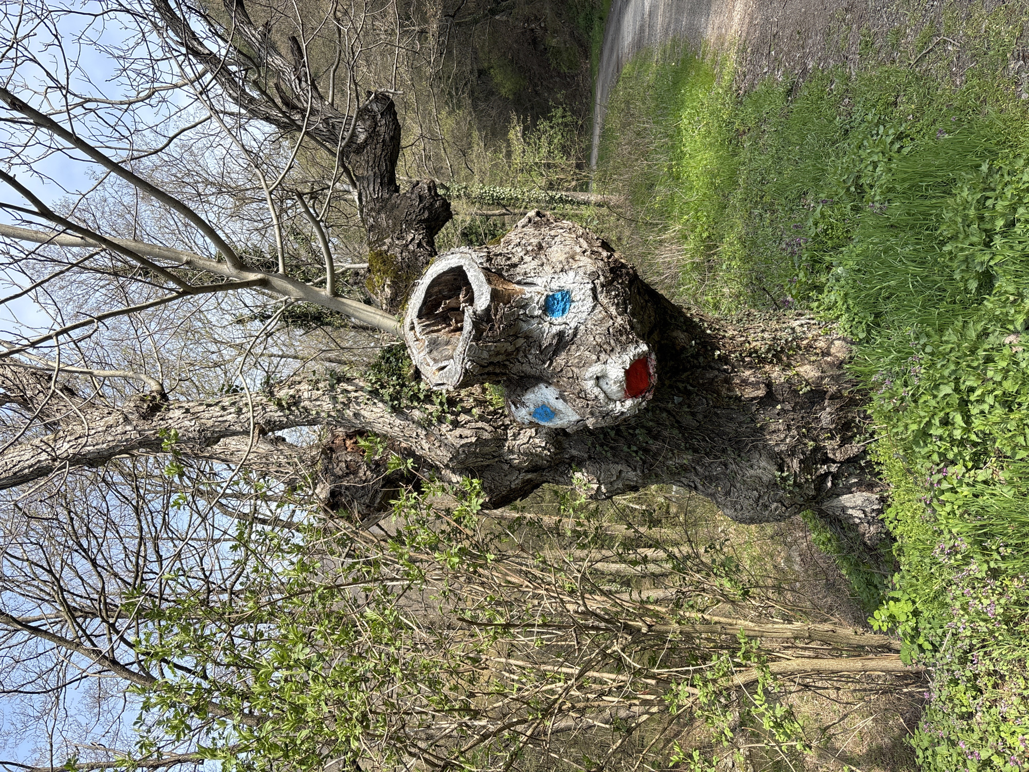 Rural scenes documented near Gurkovo, Bulgaria including fallen tree