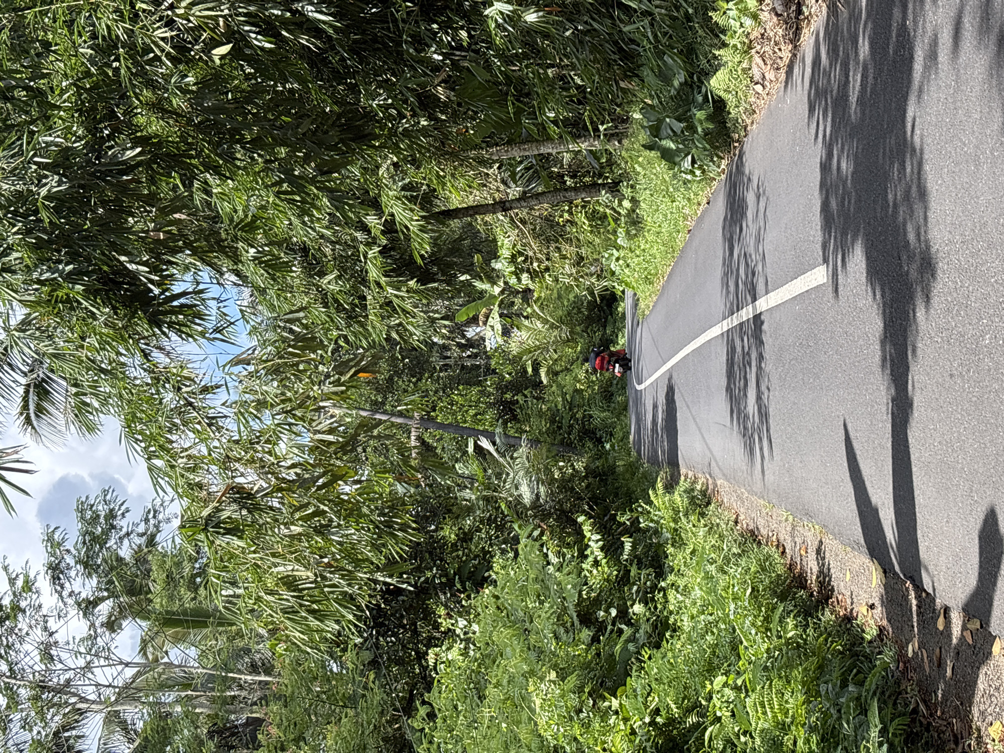 Two riders travel rural Tegallalang road by motorcycle