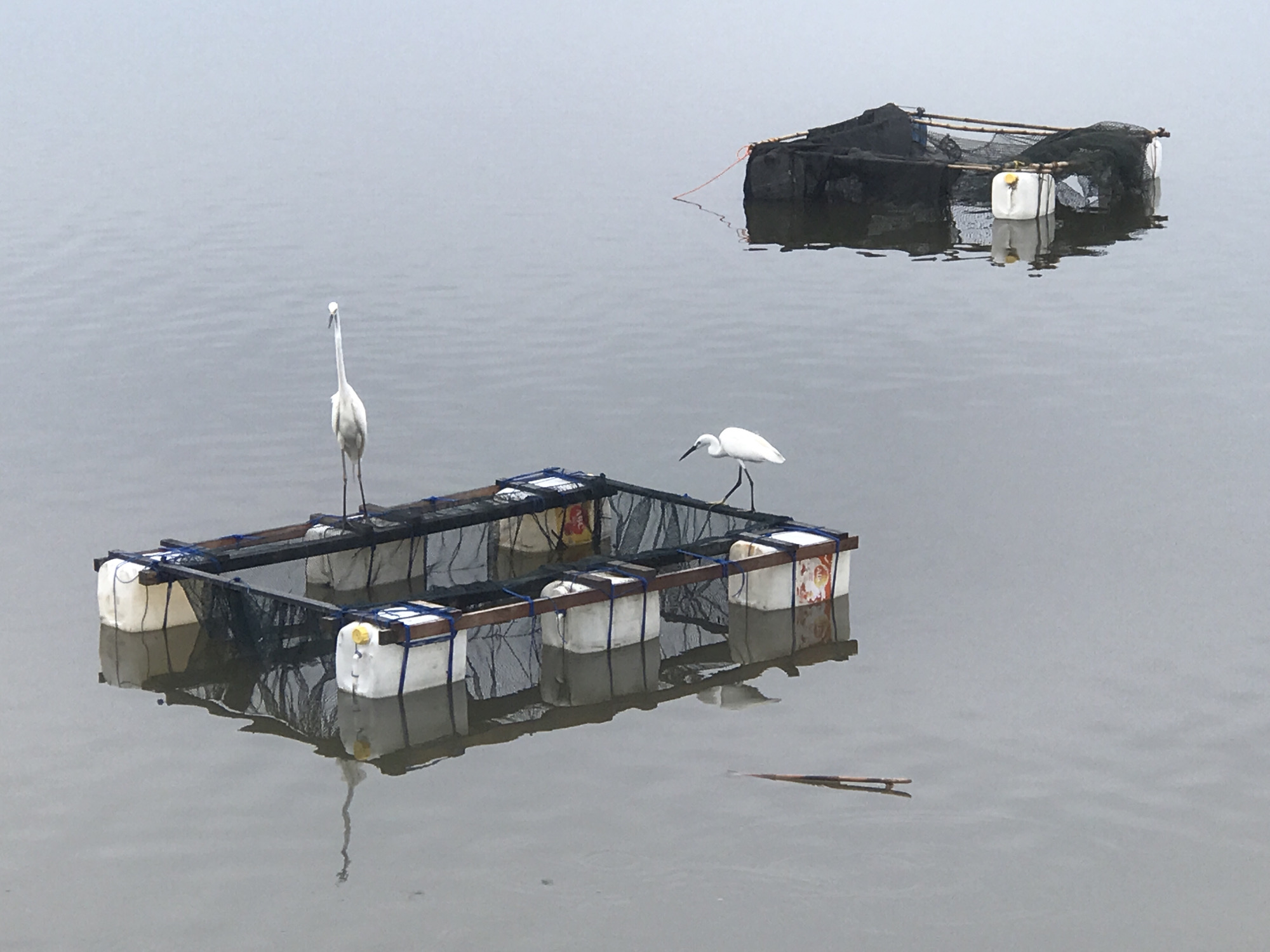 Early morning activity documented near Lhokseumawe waterfront
