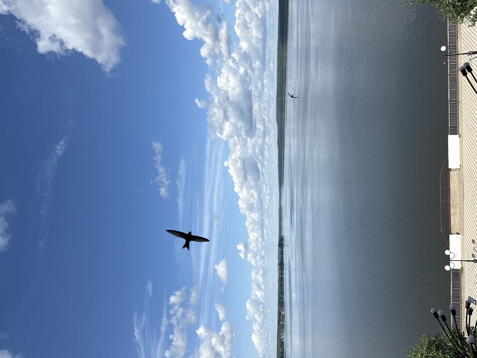Calm morning at Votkinsk Reservoir under a clear blue sky