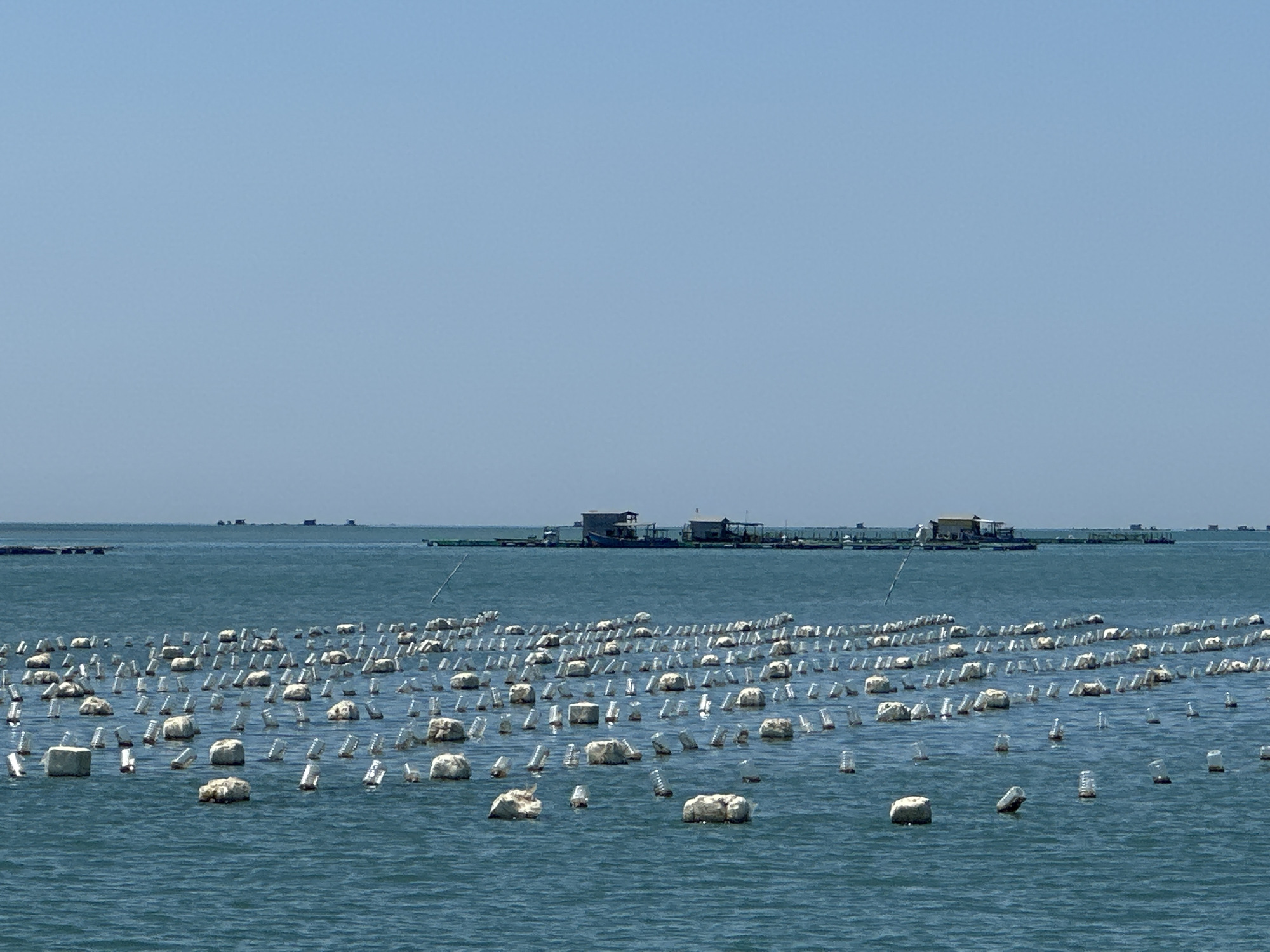 Aquaculture farms float off Nha Trang's island-dotted coastline