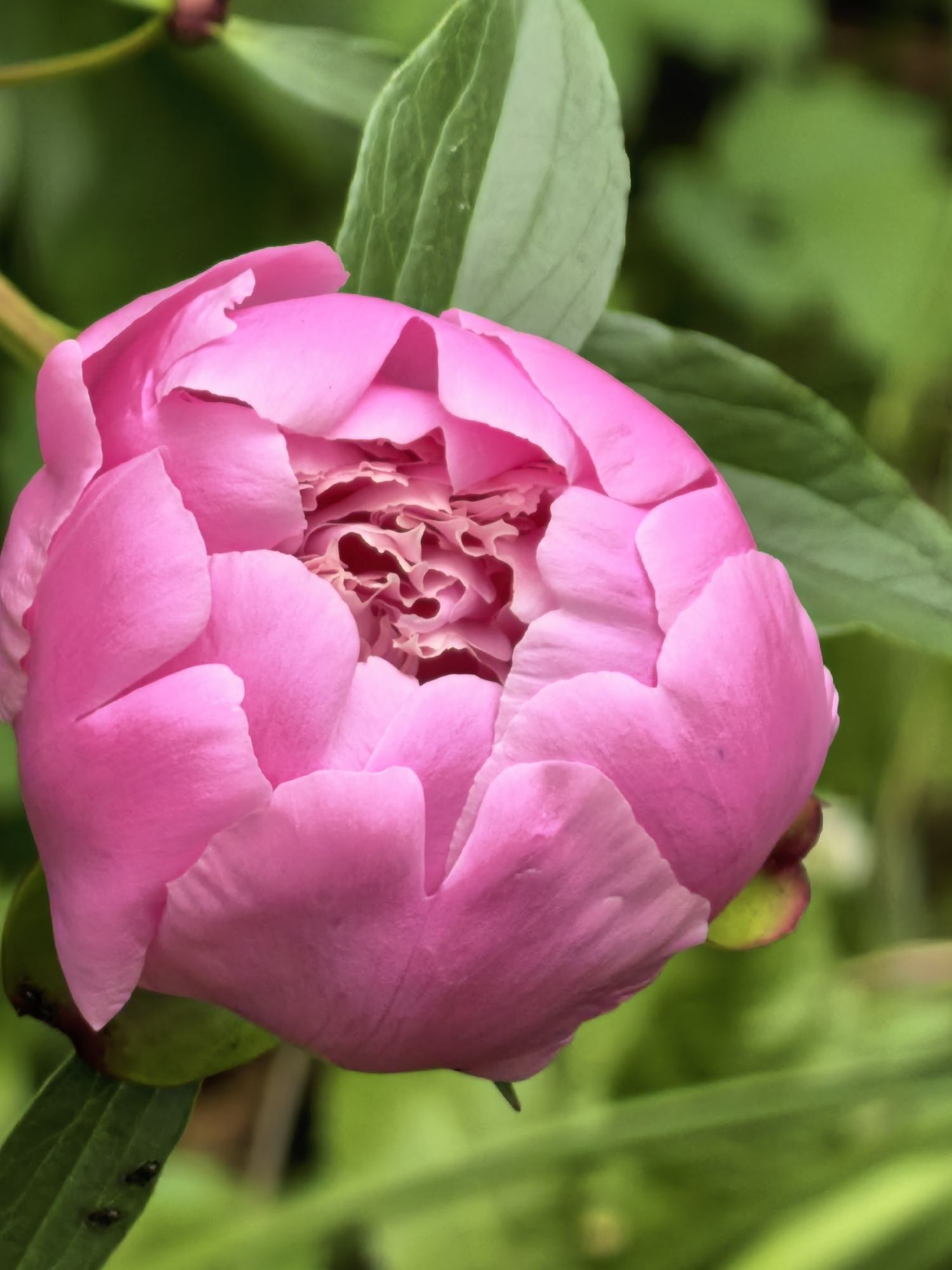Spring blooms and daily life documented in Sterlitamak, Russia
