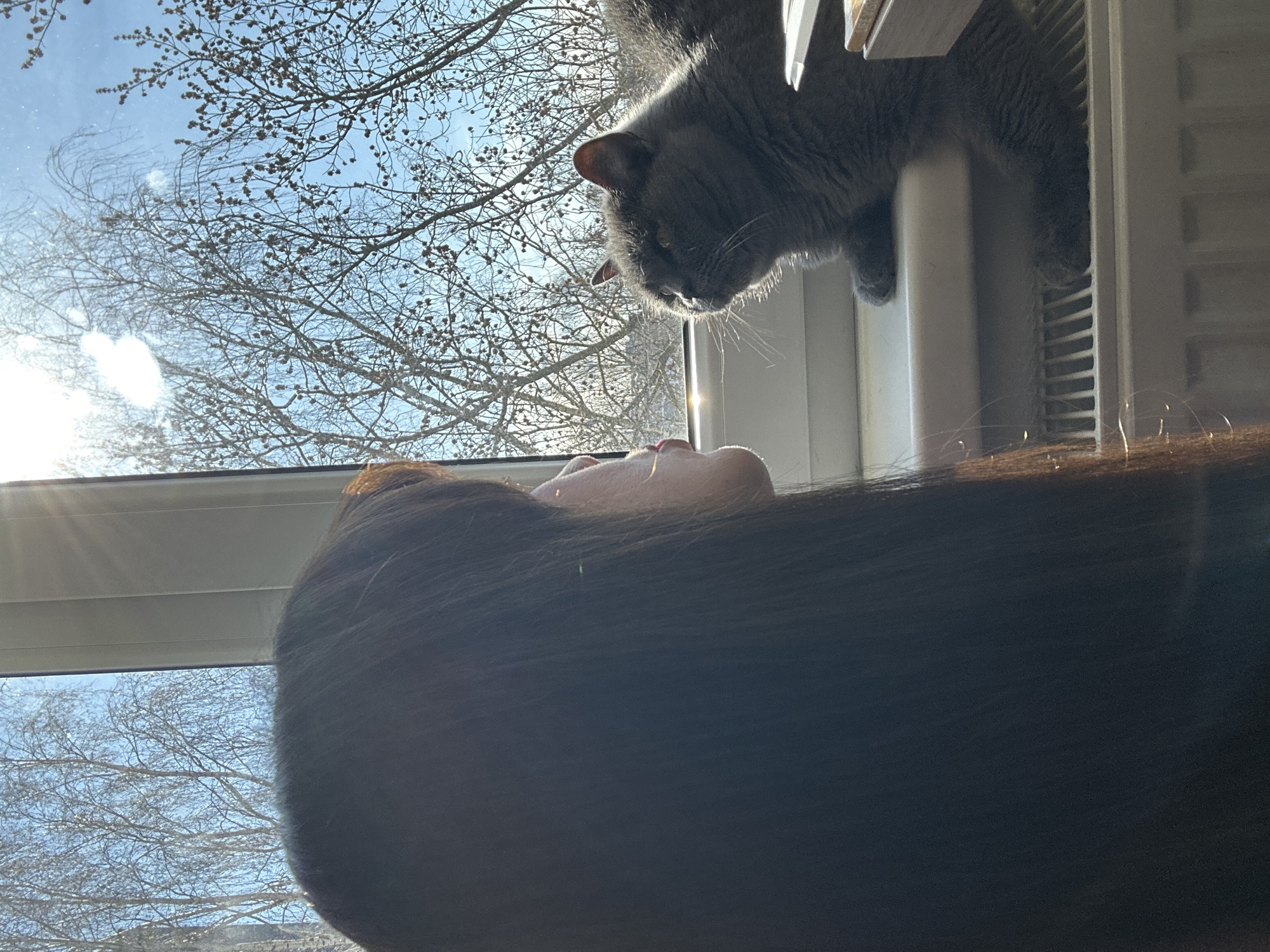 Morning routines captured in Riga homes