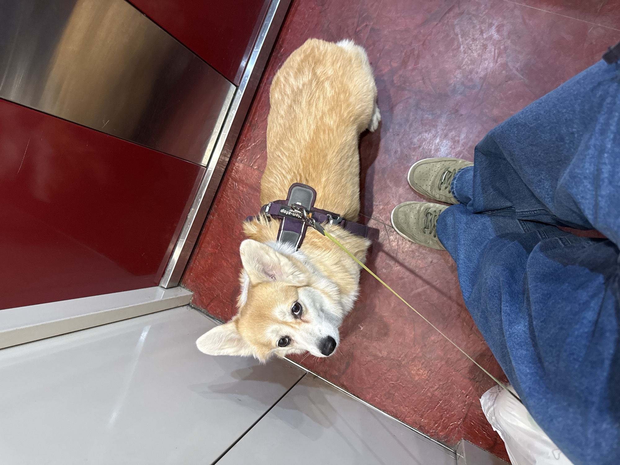 Ordinary life moments documented across Krasnoyarsk over two hours