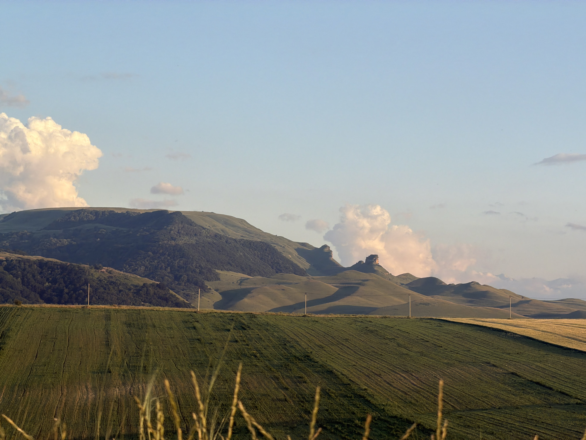 Golden hour across open farmland, wildflowers, and canyon cliffs.