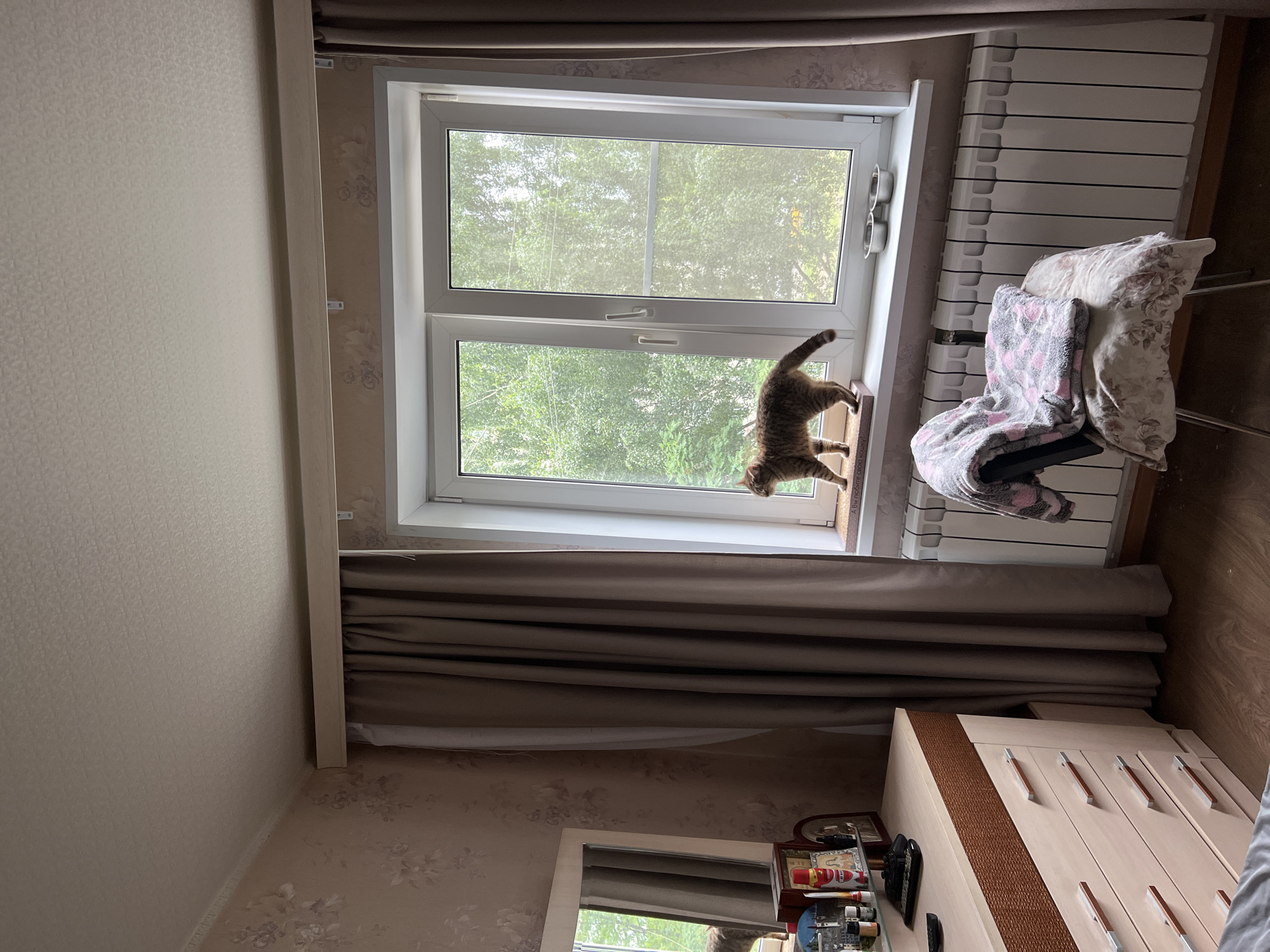 Quiet morning at home in Tula, pets and screens