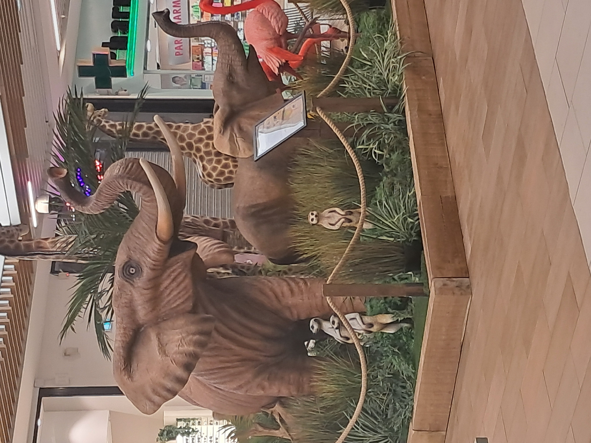 Animal sculpture exhibit spotted in Caen shopping mall