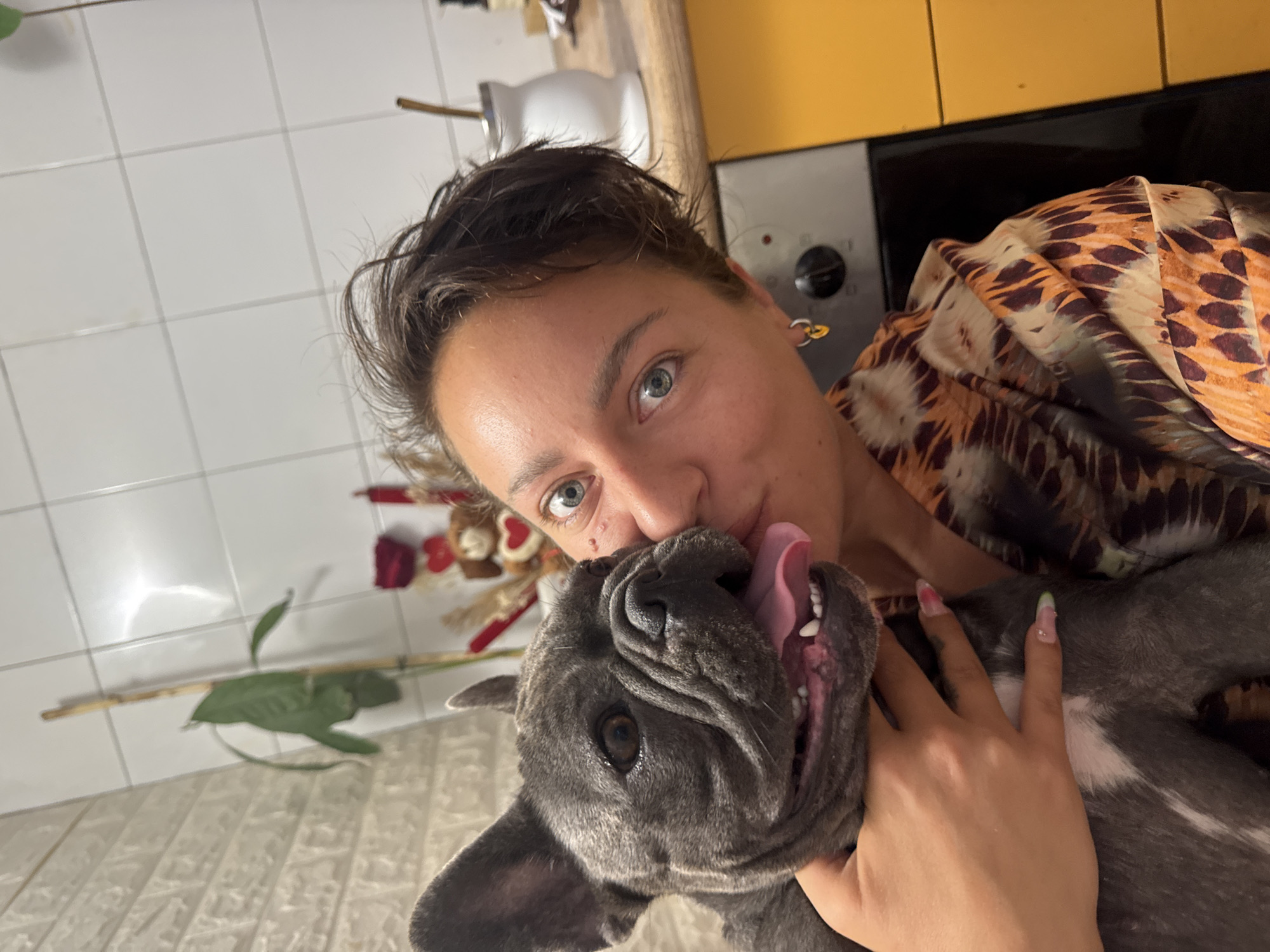 French Bulldogs lounging and playing indoors in San Benedetto del Tronto