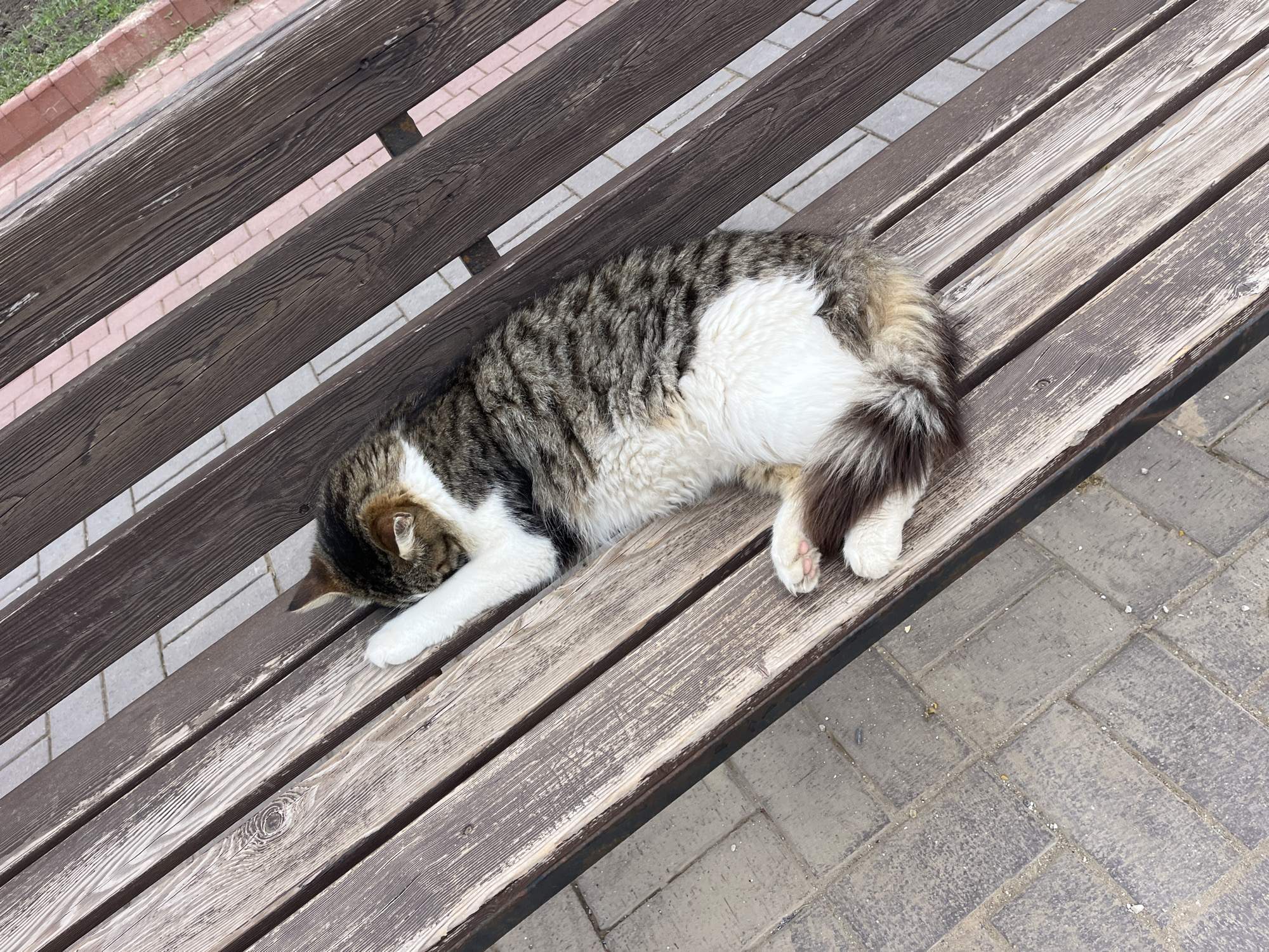 Morning street life and beach scenes documented in Alanya