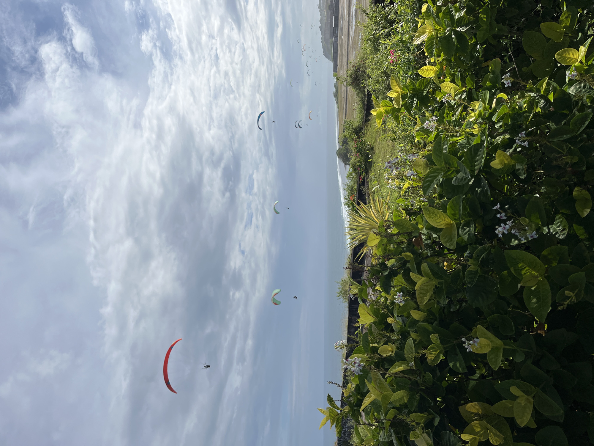 Paragliders fill skies above Kuta Selatan coast