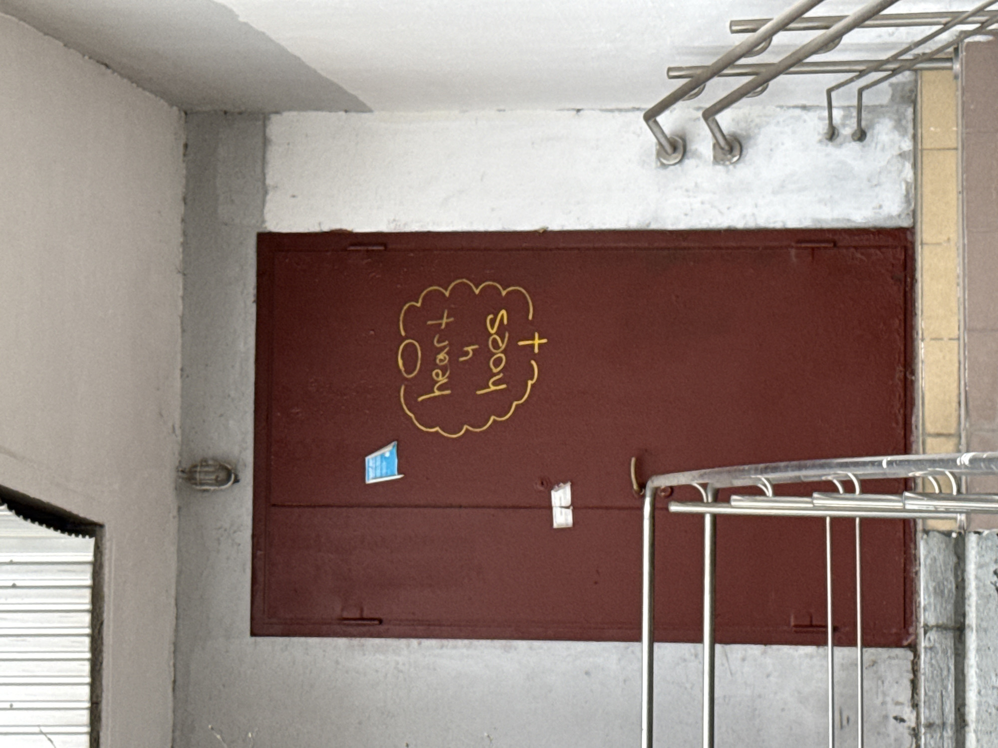 Moscow stairwell with graffitied maroon door documented by witness