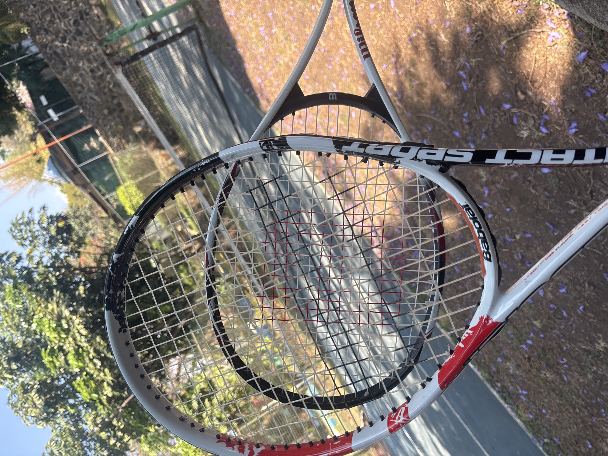 Tennis player enjoys snacks amid blooming Jacarandas in Cuernavaca