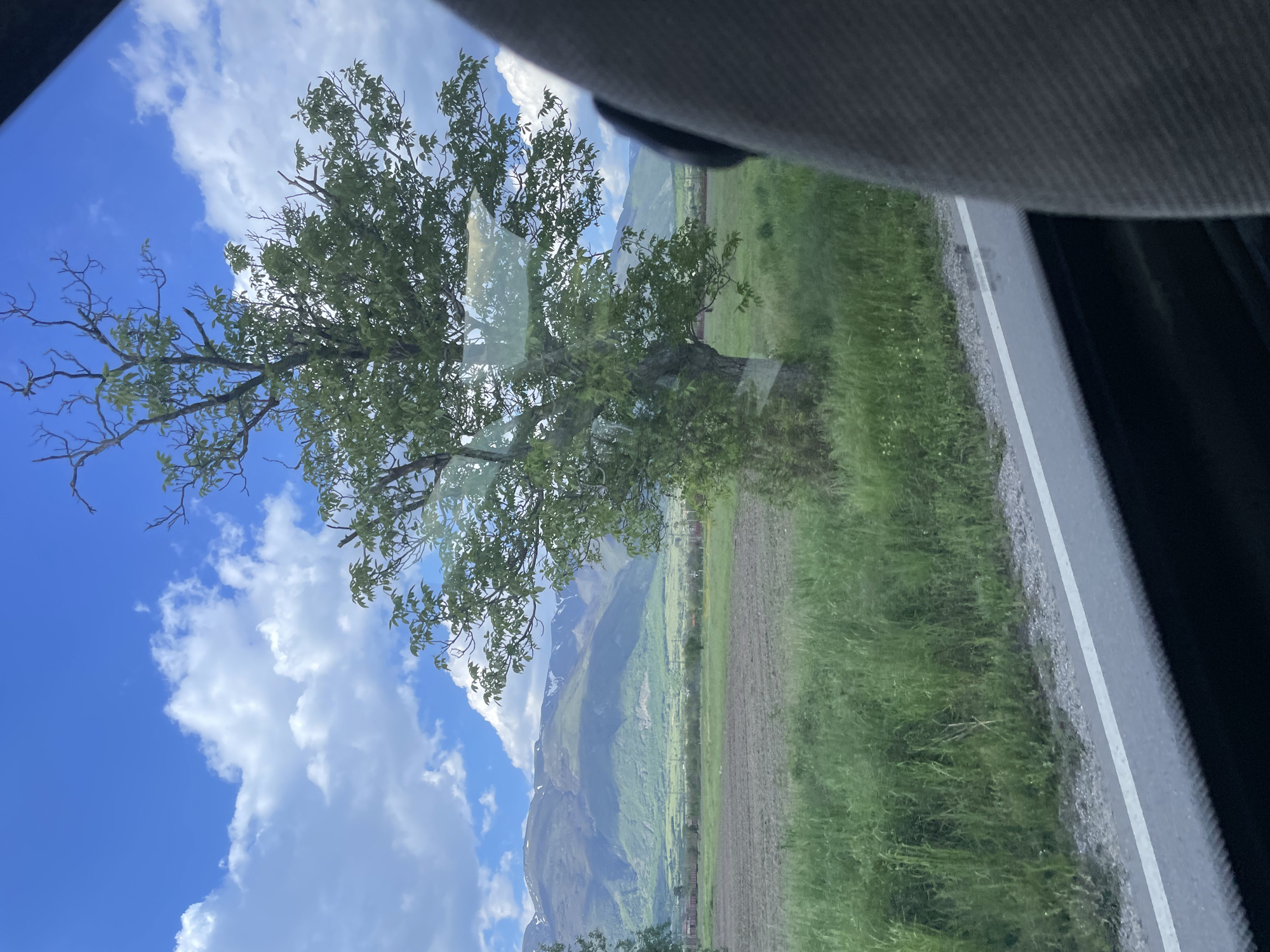 Traveler captures Bulgarian countryside views from moving vehicle