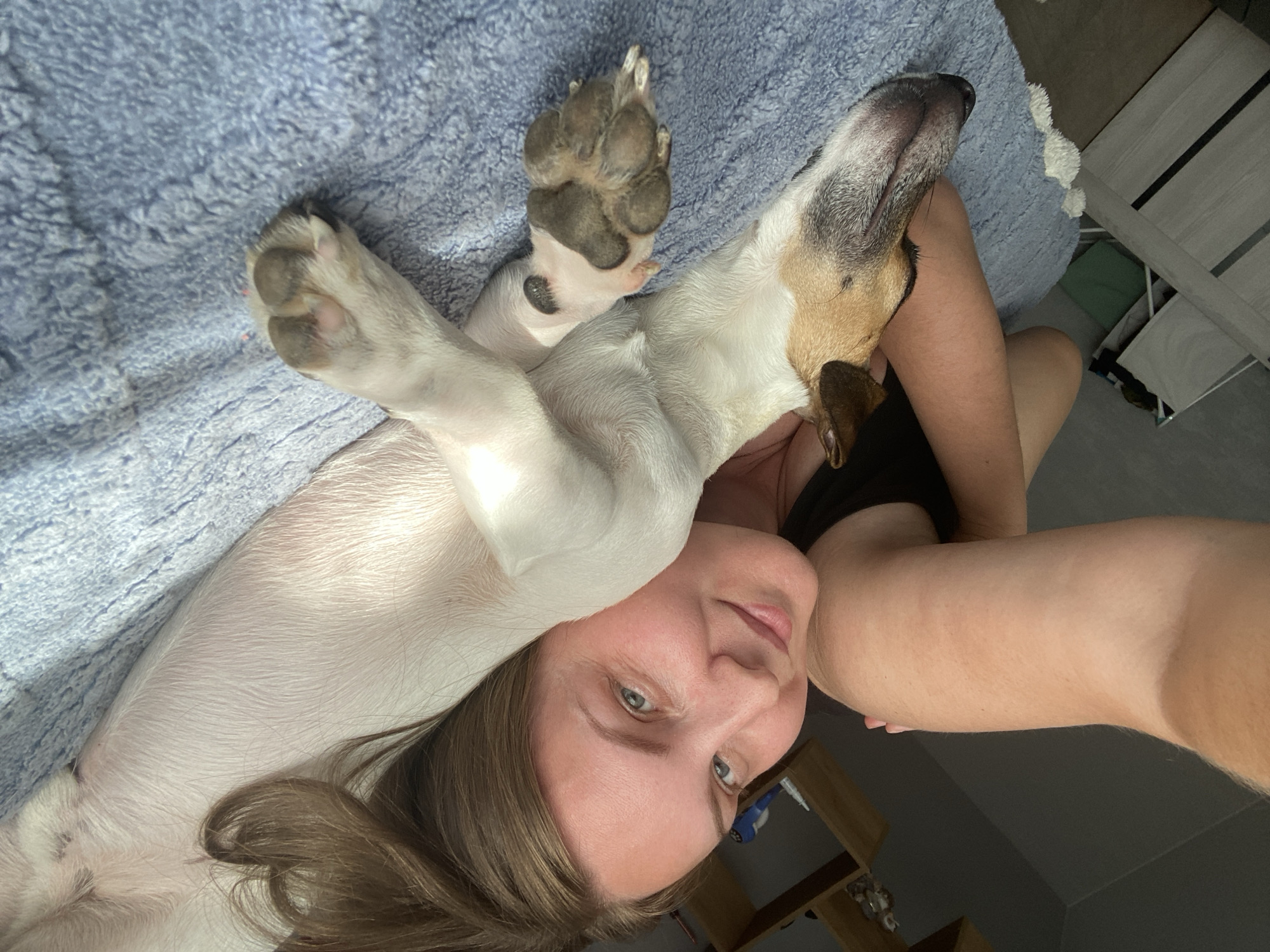 Lazy morning on the couch with a dog in Noviy