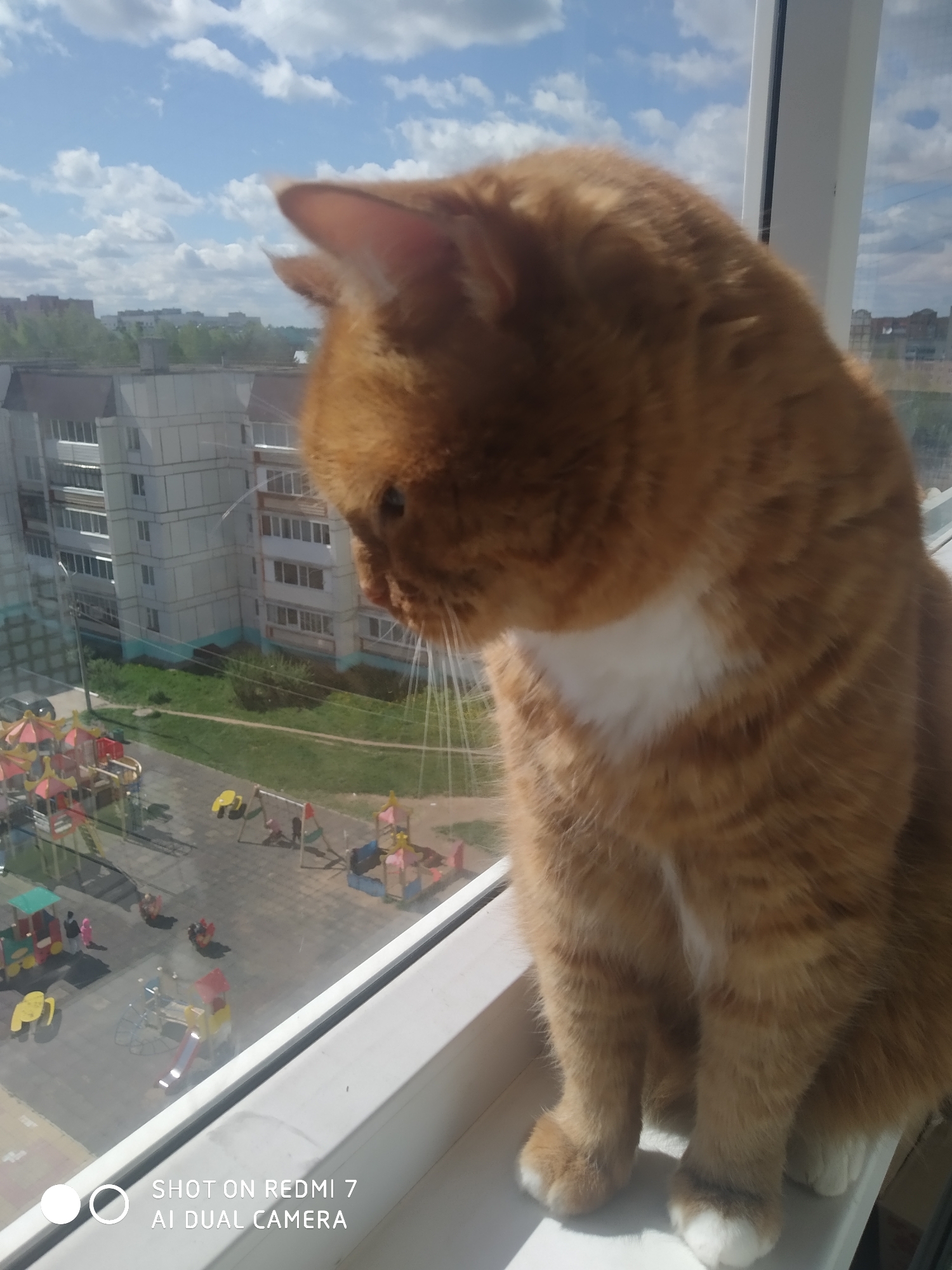 Saturday morning life captured across Chaikovsky, Russia